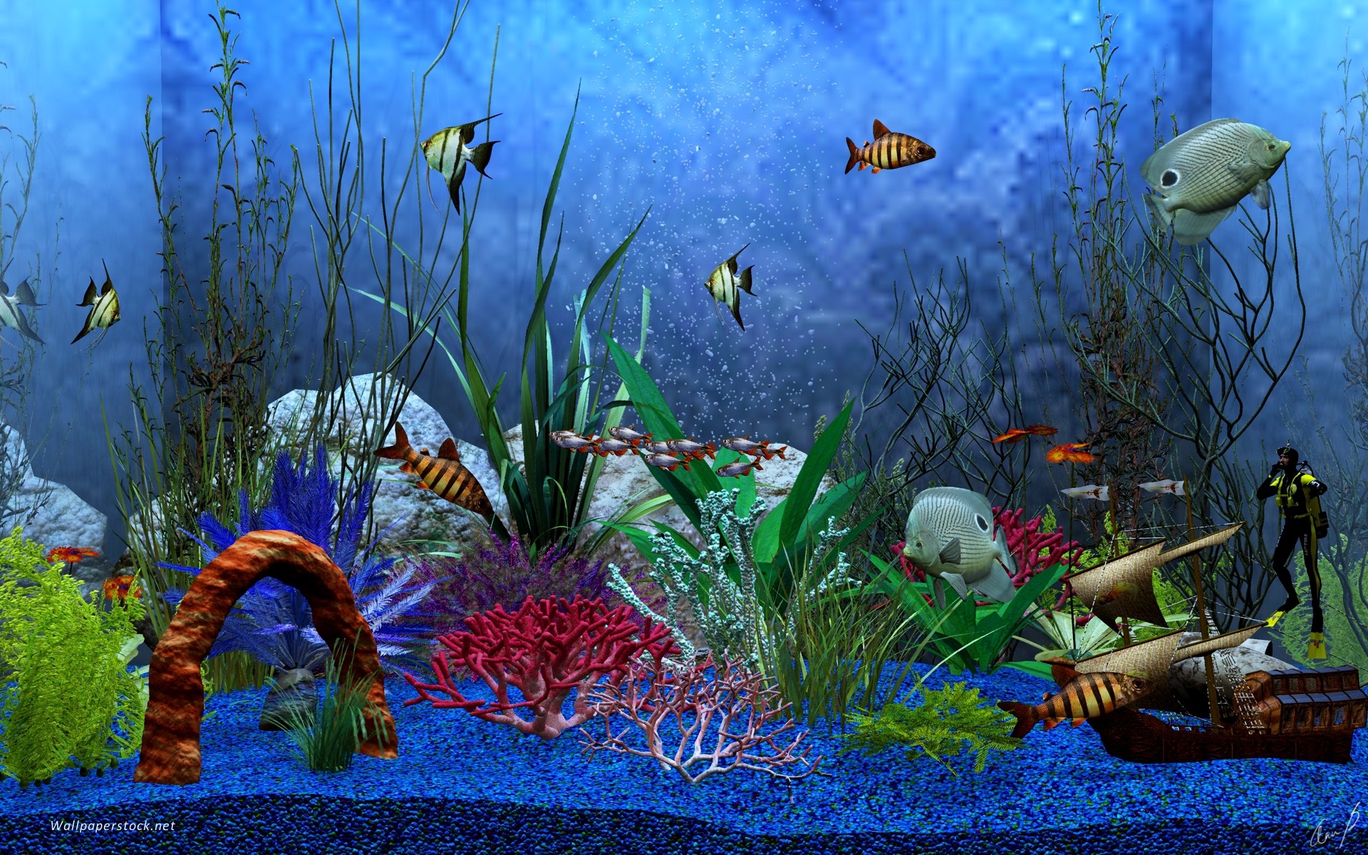 1920x1200 Animated Aquarium Desktop Wallpaper - www.wallpapers-in-hd.com