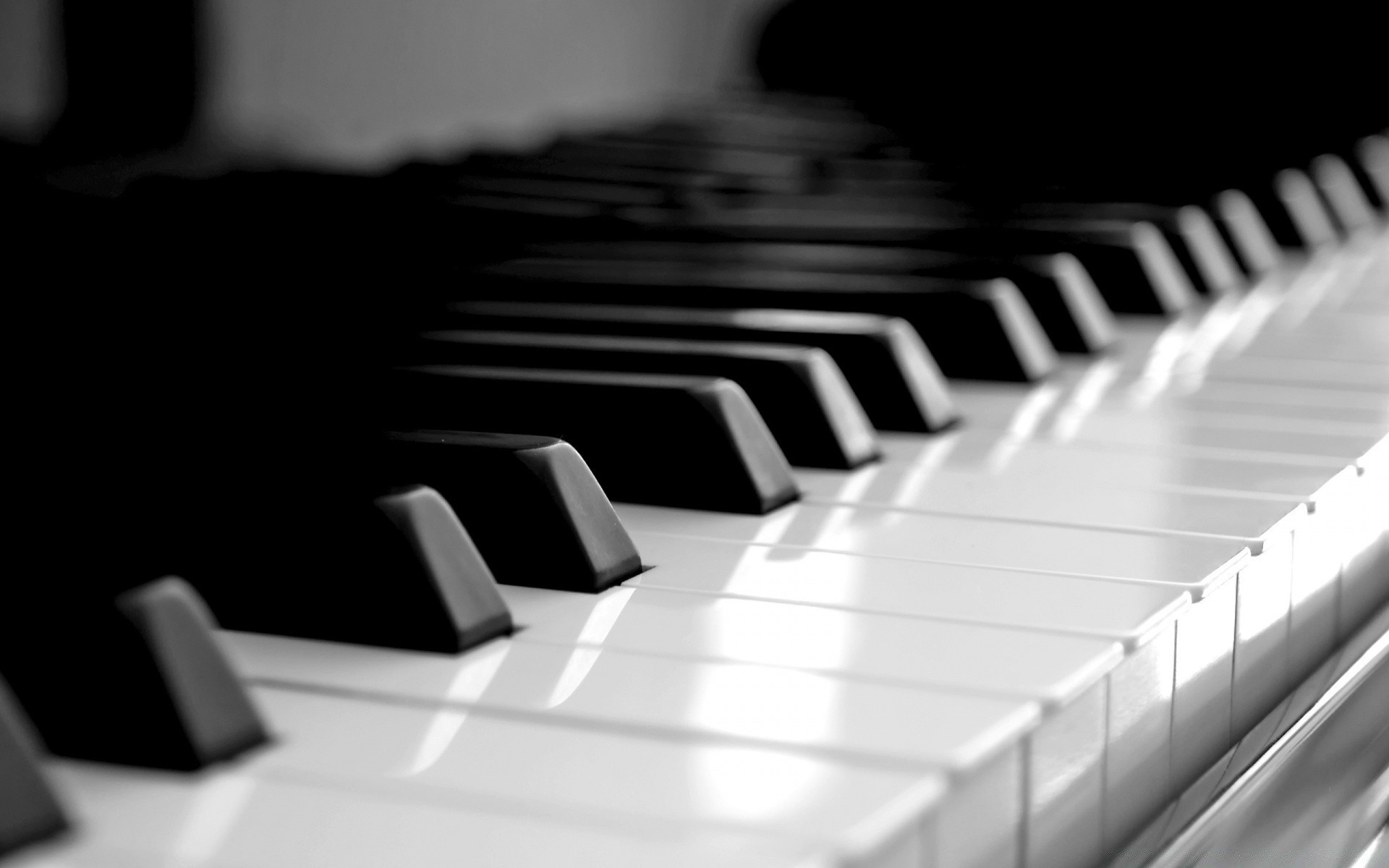 1920x1200 Black and white piano ebony ivory synthesizer sound keyboard chord pianist  HD wallpaper. Android wallpapers for free.