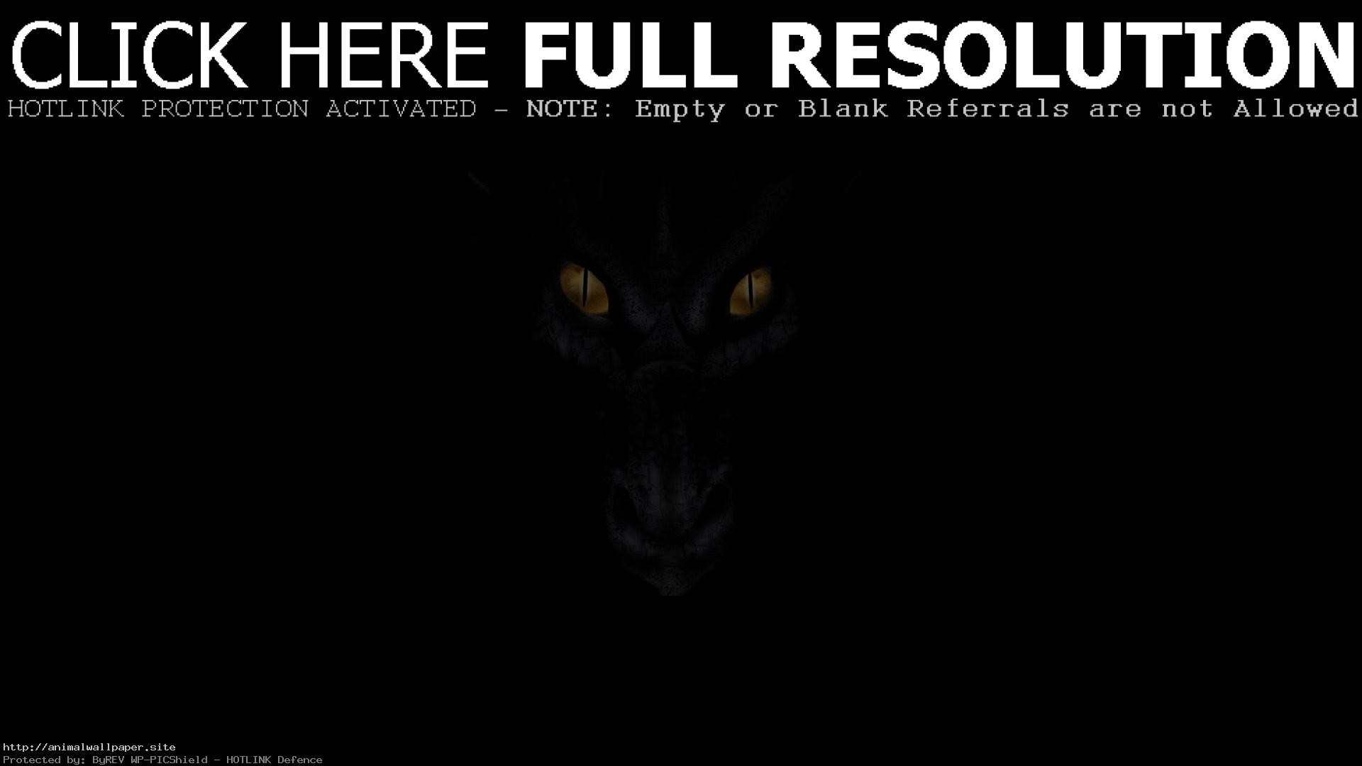 1920x1080 Cool Yellow Cats Eyes In The Dark Forest Wallpaper