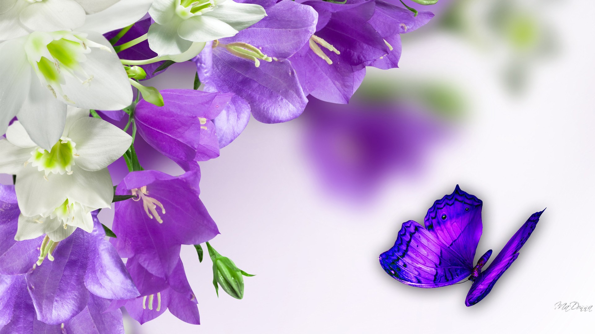 1920x1080 Cool Purple Butterfly wallpapers - The Cool Art