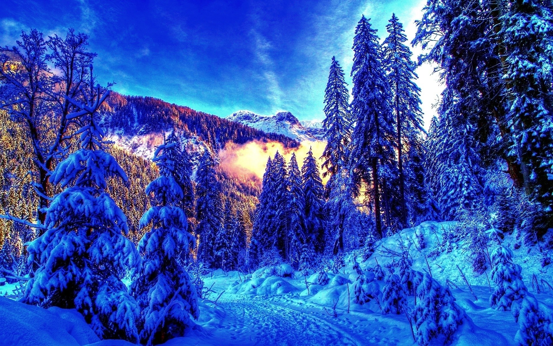 1920x1200 Scenic Winter Background HD Wallpapers