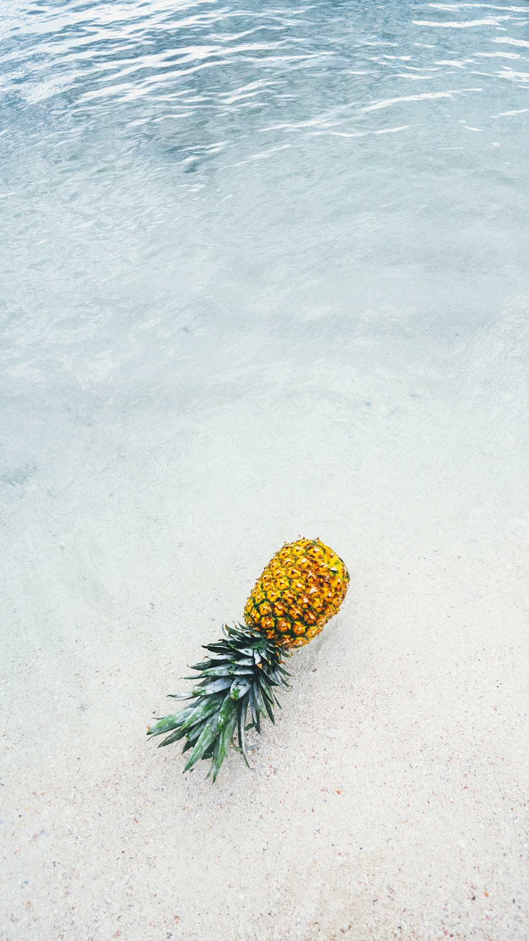1080x1920 download this cool pineapple background