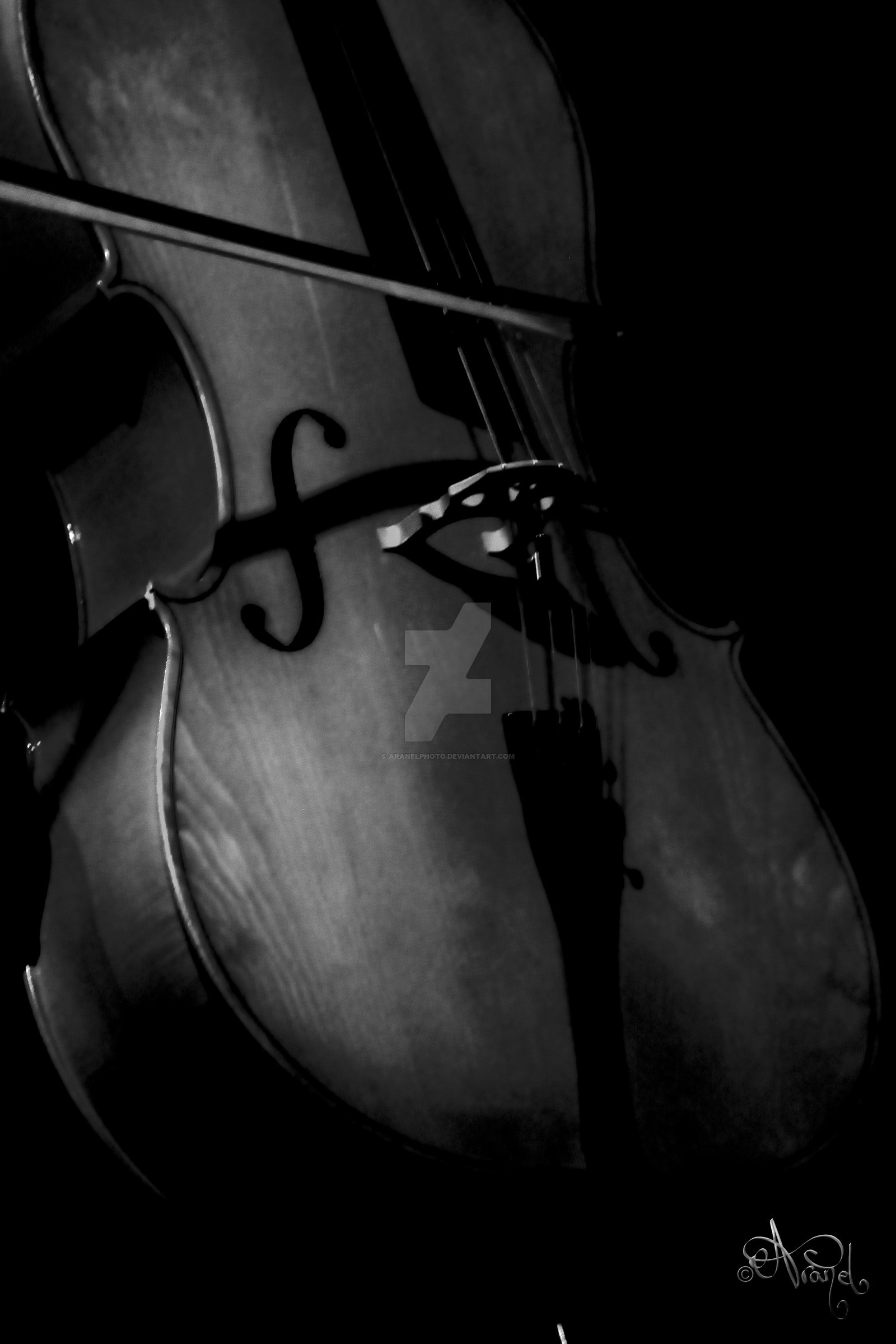 1600x2400 Cello by AranelPhoto Cello by AranelPhoto