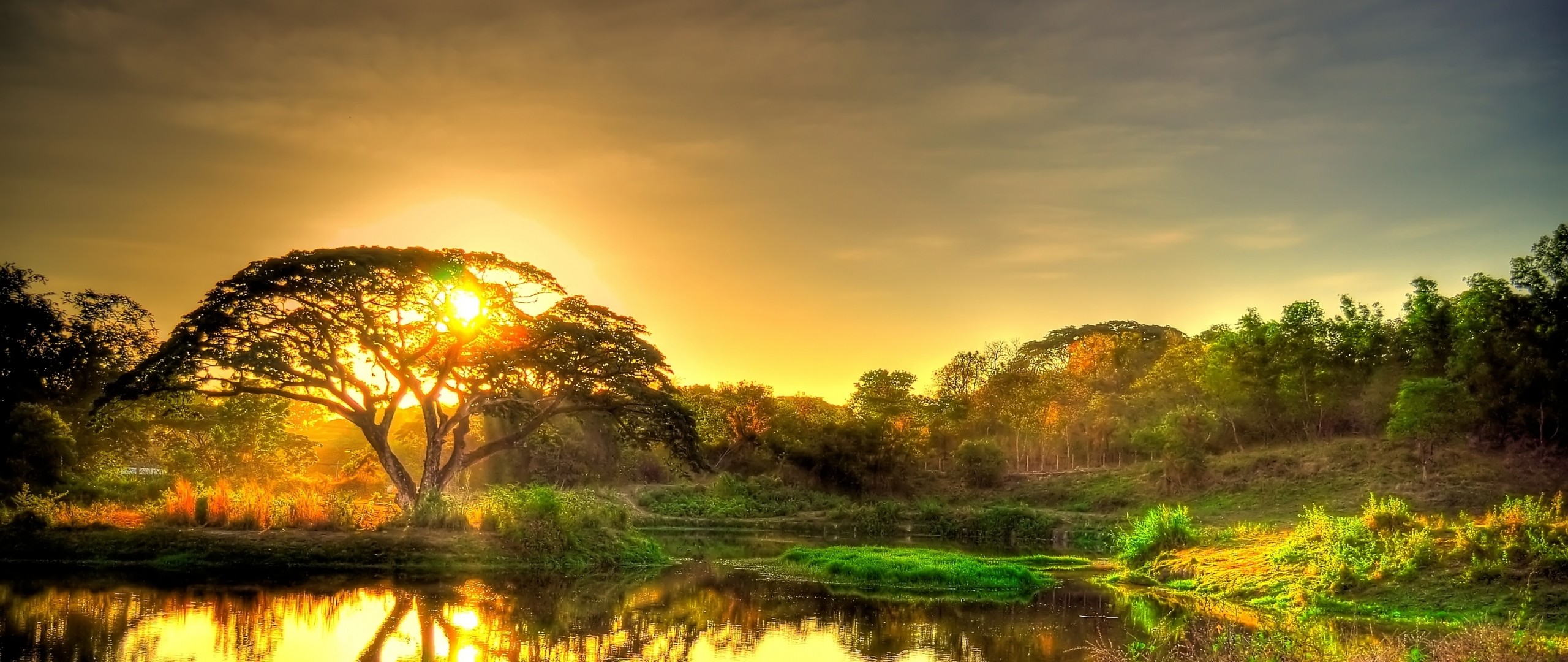 2560x1080 Preview wallpaper sunset, pond, trees, landscape 