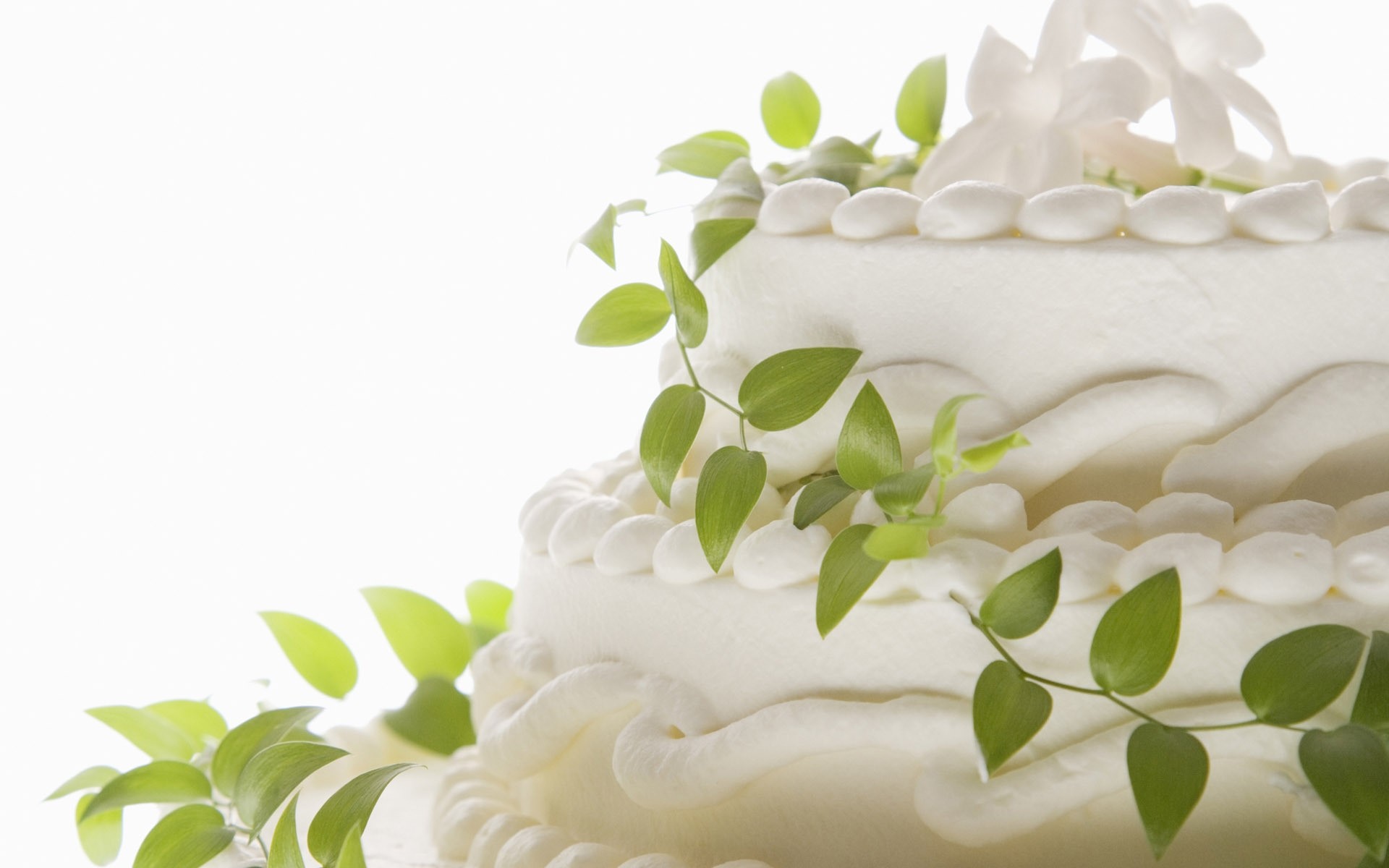 1920x1200  wallpaper cake decorating, happiness, marriage, wedding  anniversary, buttercream
