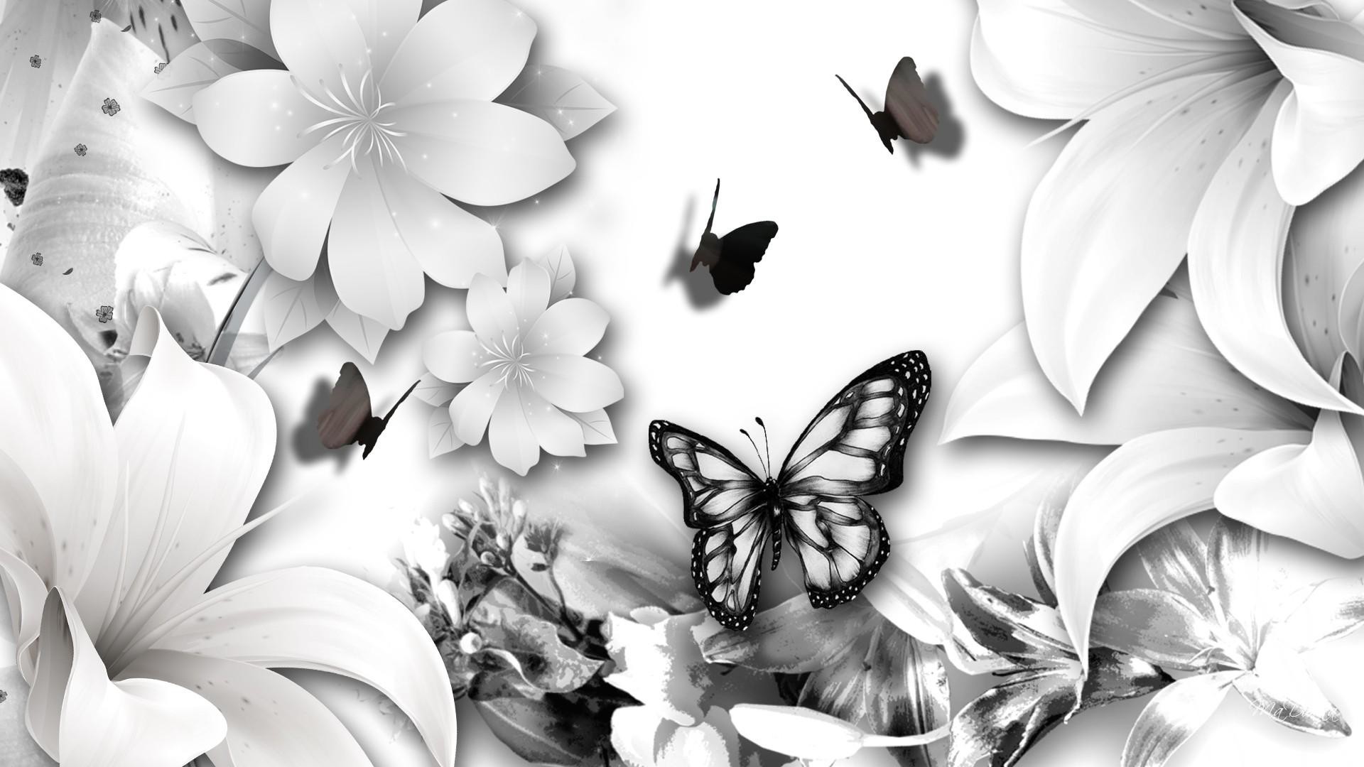 1920x1080 Butterfly Black And White Wallpaper
