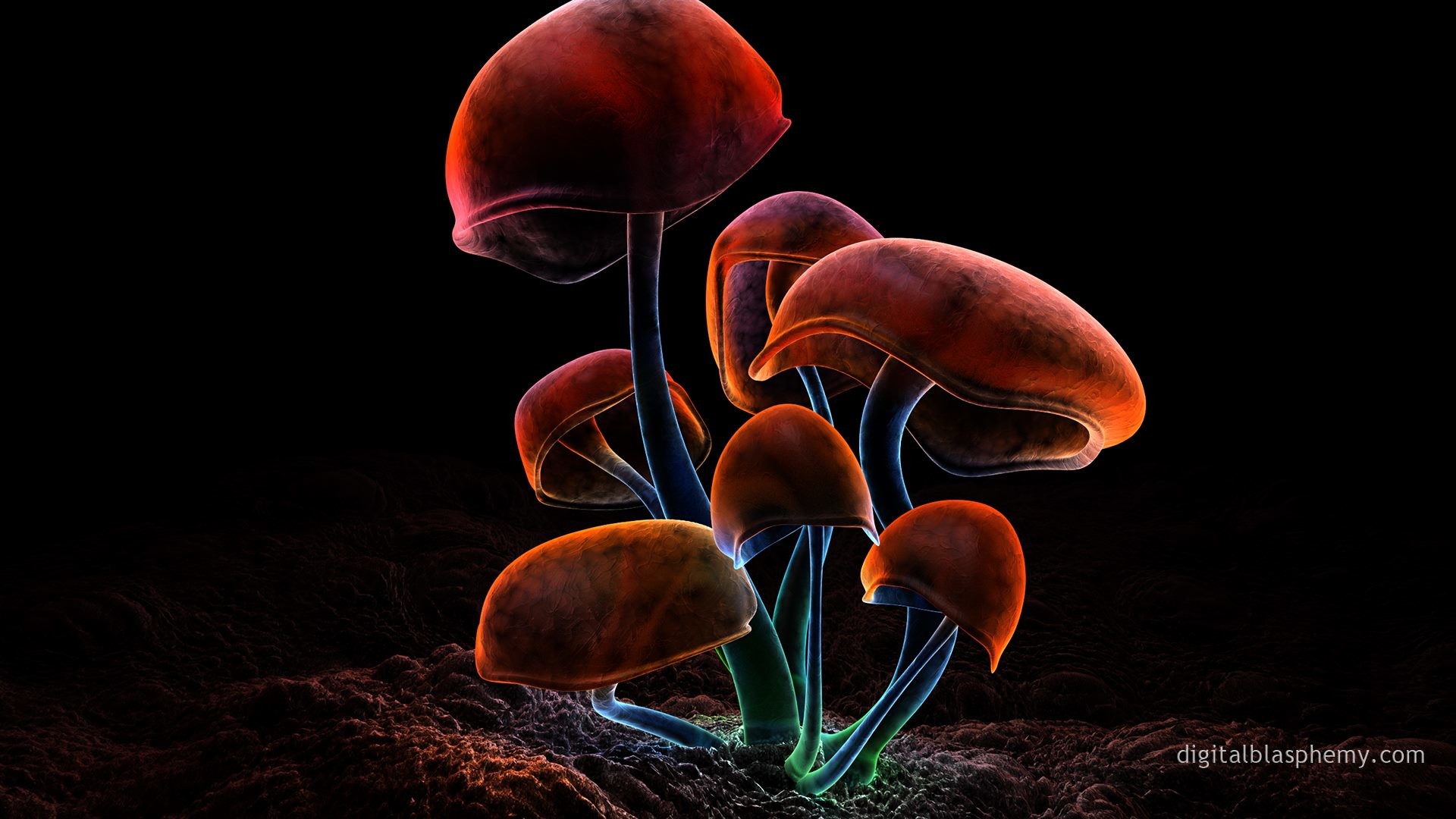 1920x1080 Mushrooms wallpaper 2560x1600 jpg | Tokeh | Pinterest | Mushrooms and  Digital art
