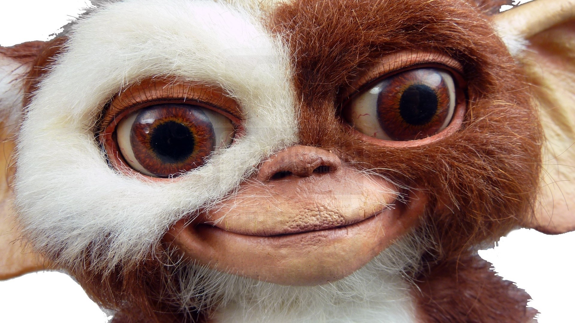 1920x1080 Gizmo Gremlins Wallpaper (62+ pictures) .