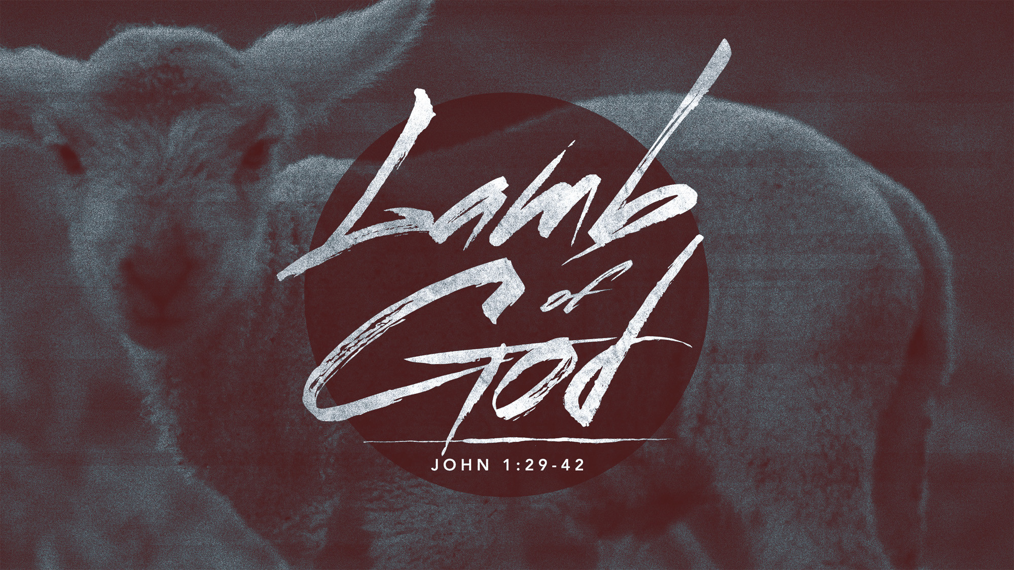 2000x1125 Lamb_of_God_wide_t