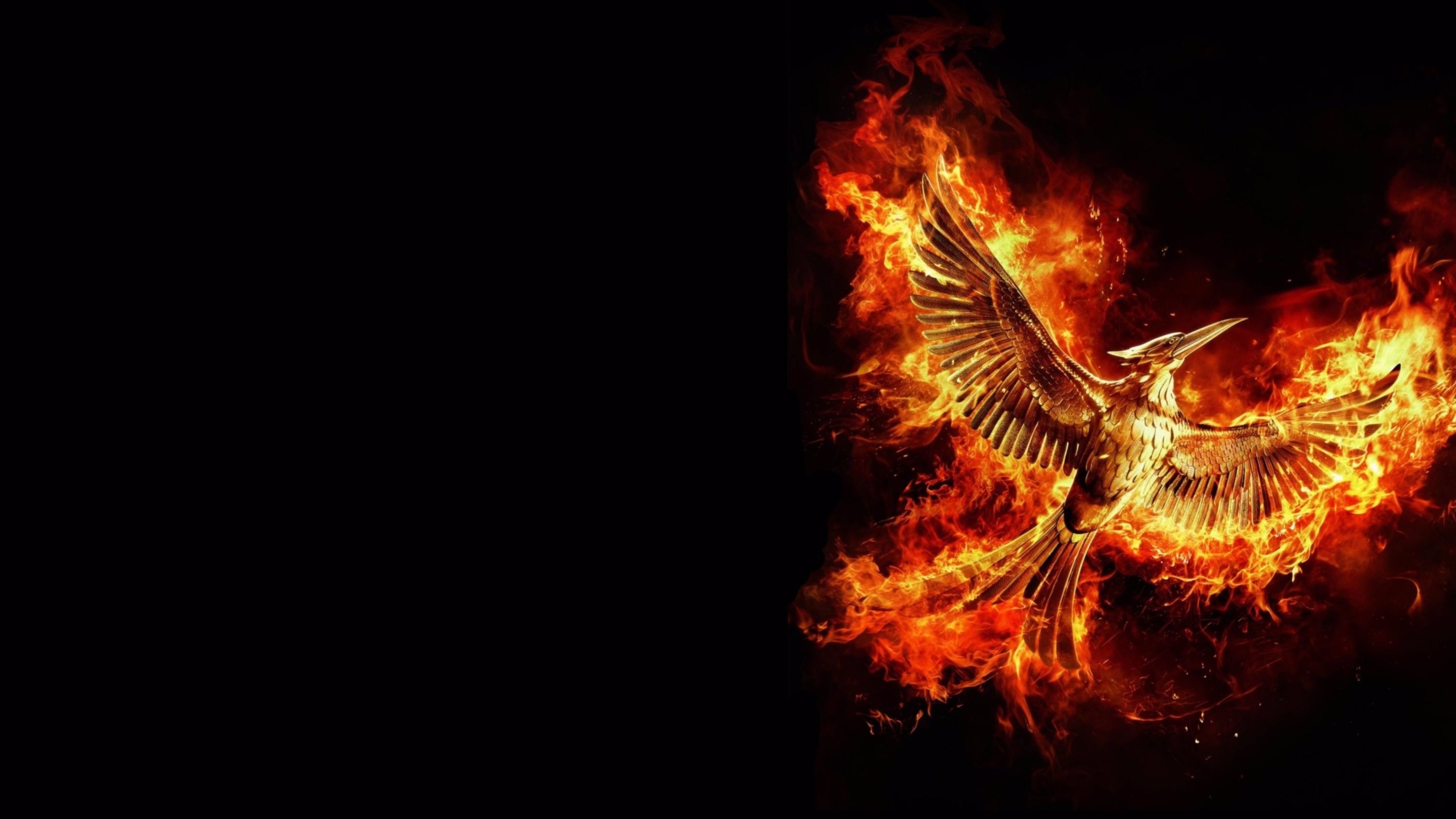 HD wallpaper The Hunger Games Mockingjay  Wallpaper Flare