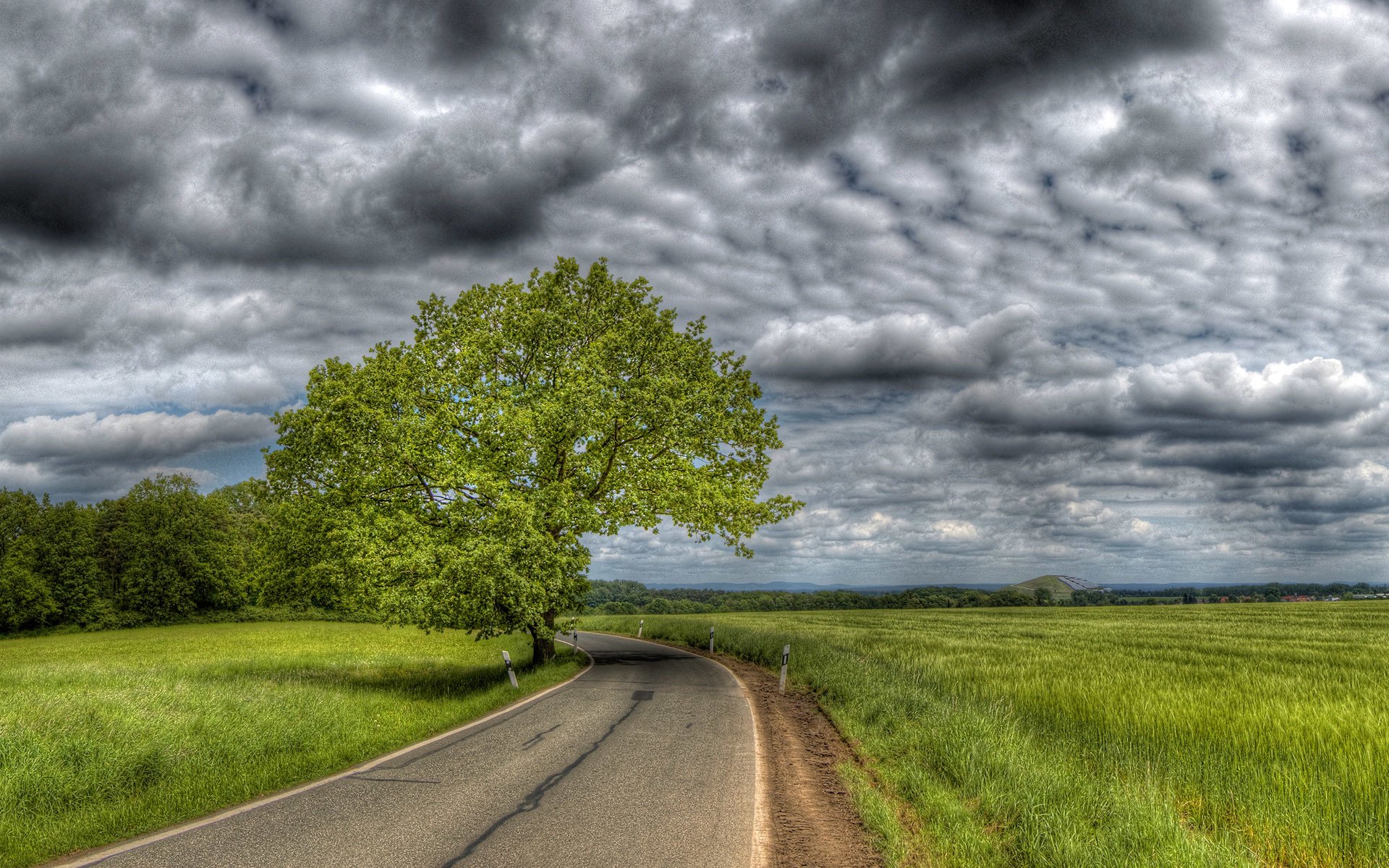1920x1200 Country Road wallpaper 101356 