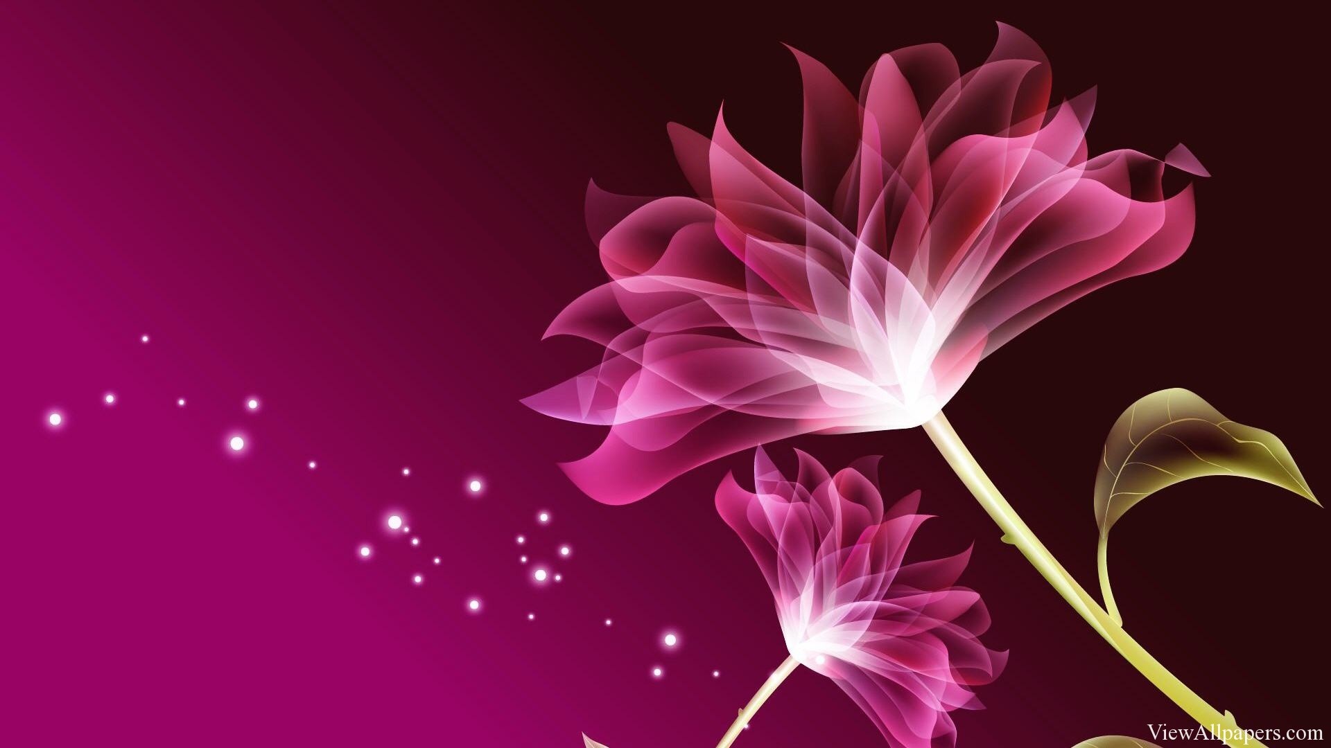 1920x1080 Beautiful Flowers Wallpapers Collection (4)