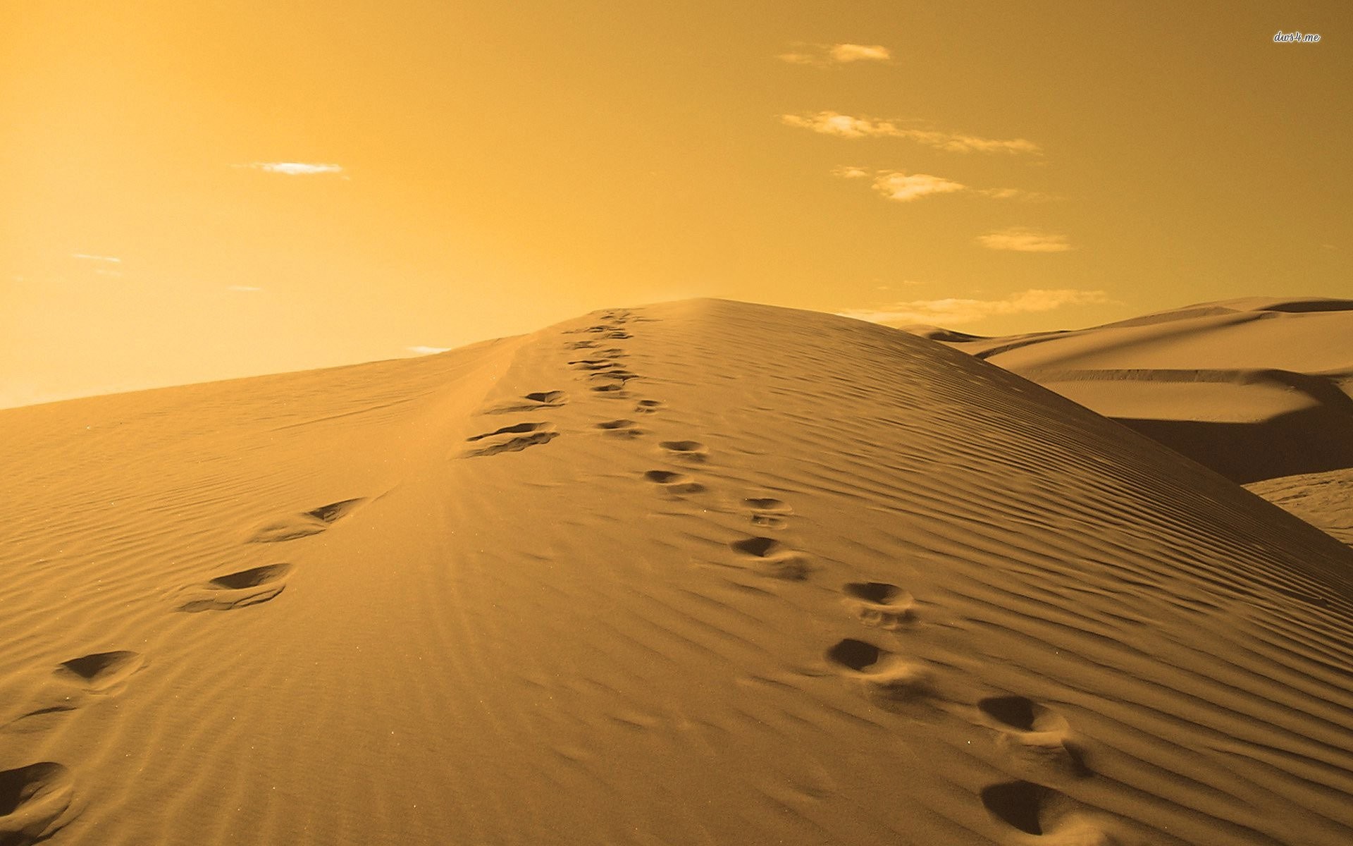 1920x1200 Footprints On A Sand Dune 682755