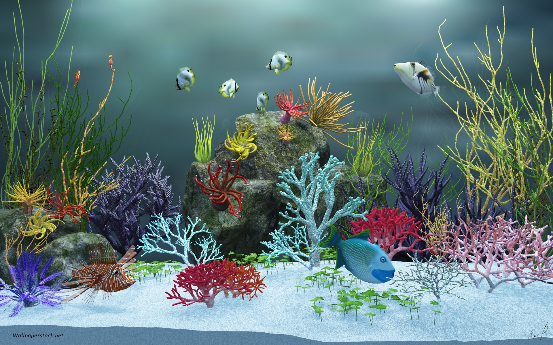 modern fish tank background