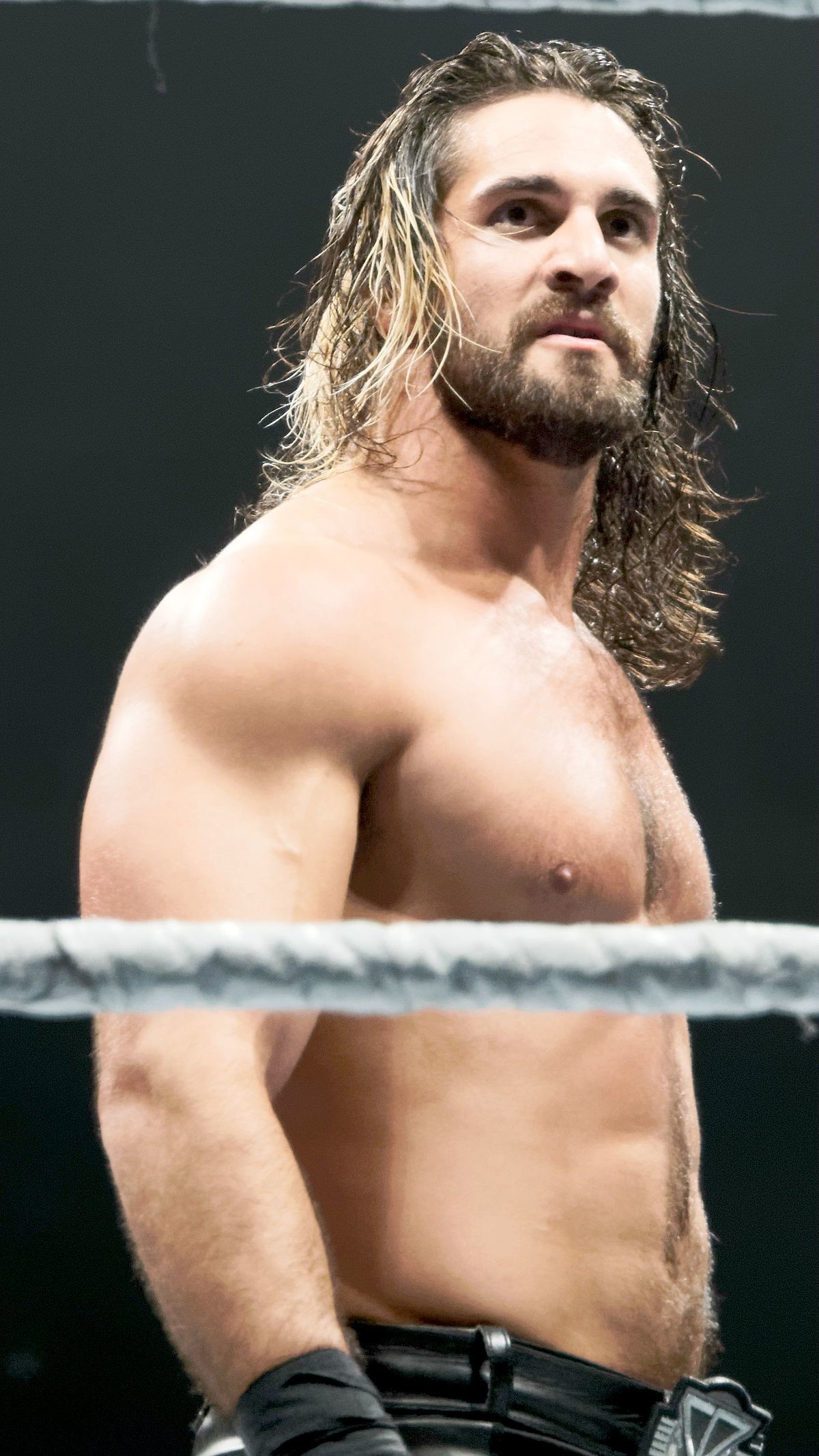 1200x2134 ... Seth Rollins HD wallpaper and picture ...