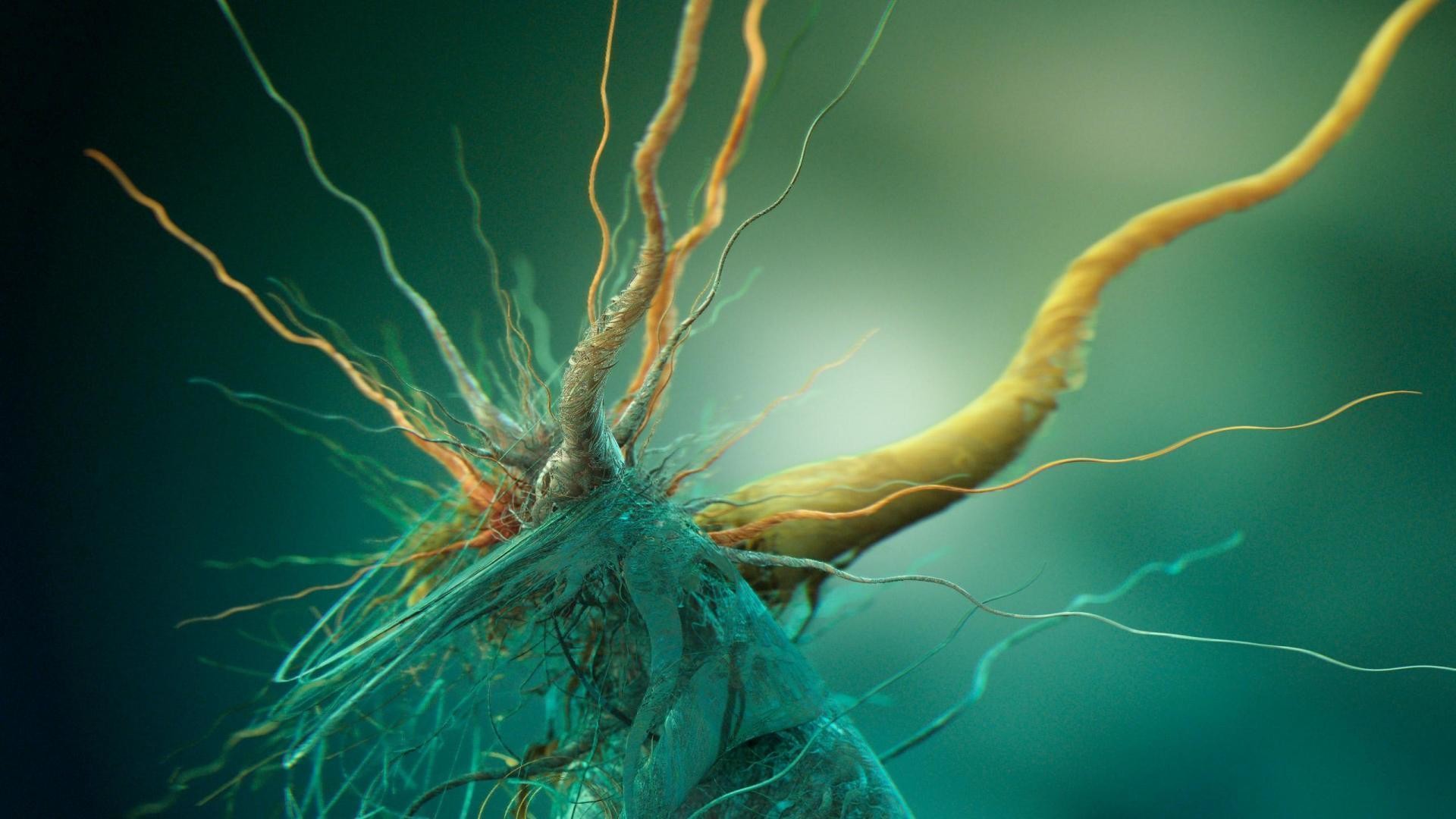 1920x1080 Cells Biology Brains Abstract HD Wallpapers, Desktop Backgrounds .