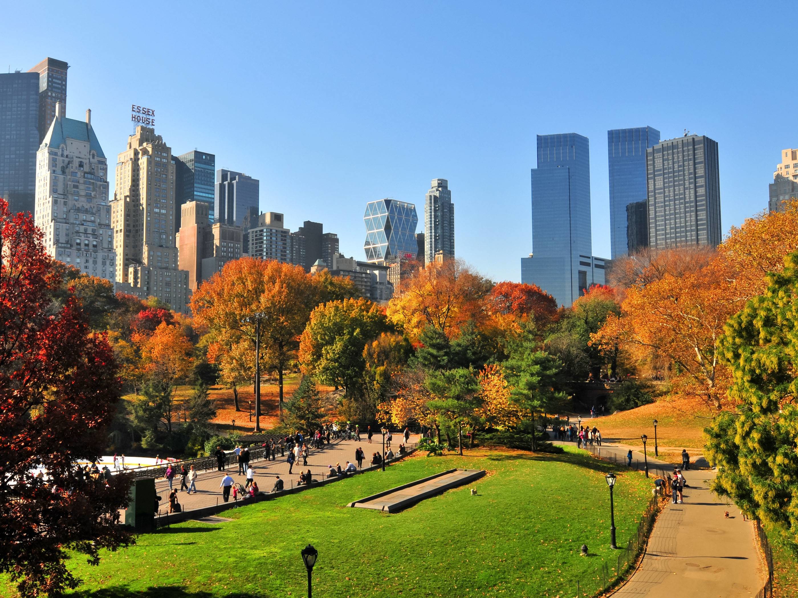 2800x2100 Central Park In Nyc During Autumn | HQ Wallpapers for PC