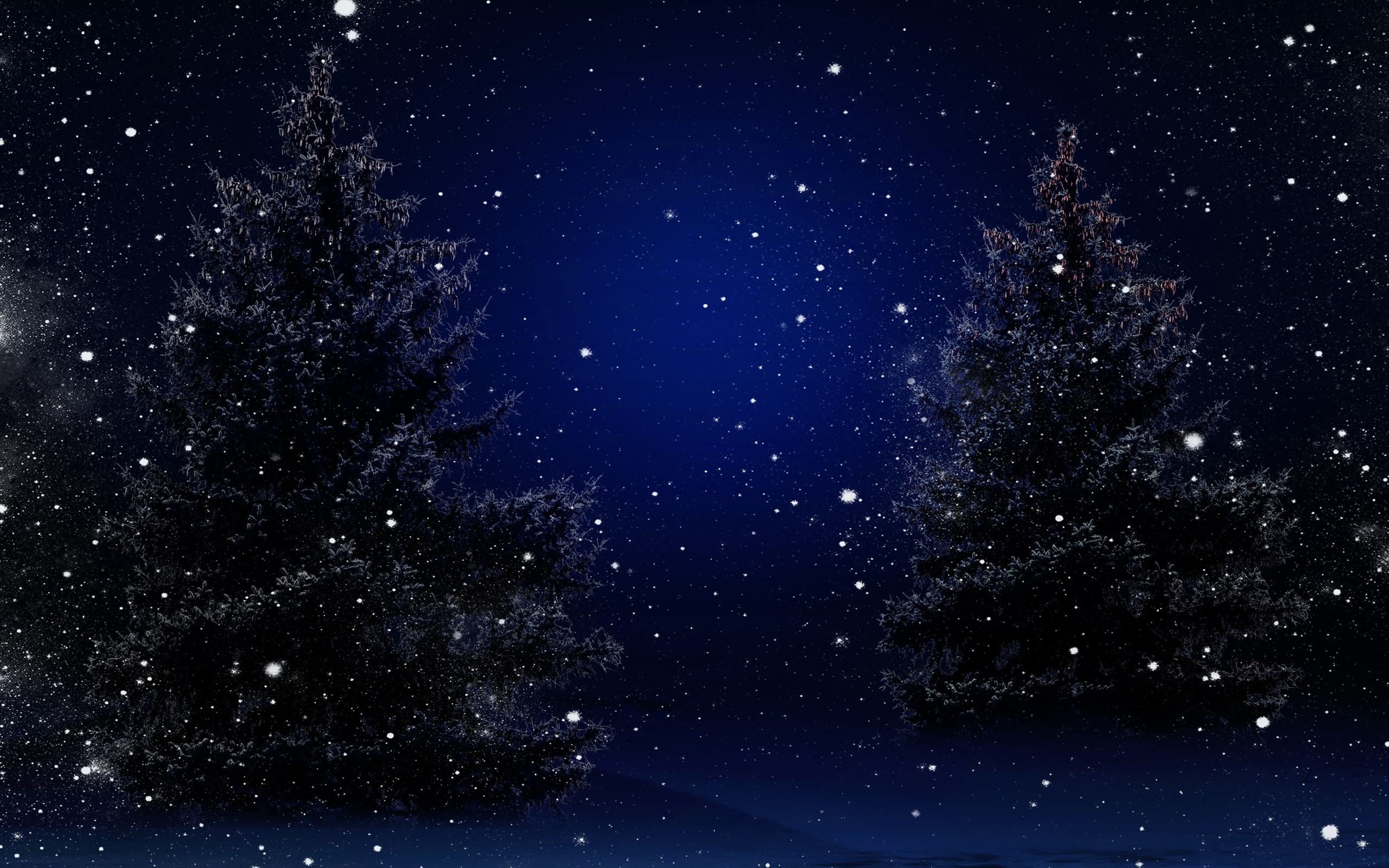 2560x1600 Starry Snowy Winter Night Christmas Trees Desktop Wallpaper