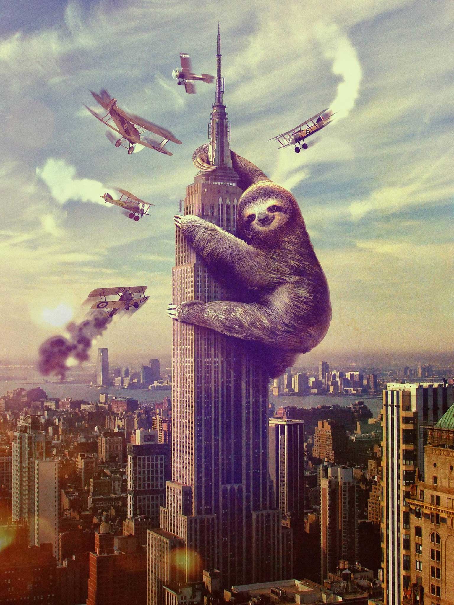 1536x2048 Sloth King Kong Poster Wallpaper  - Wallpaper 38342