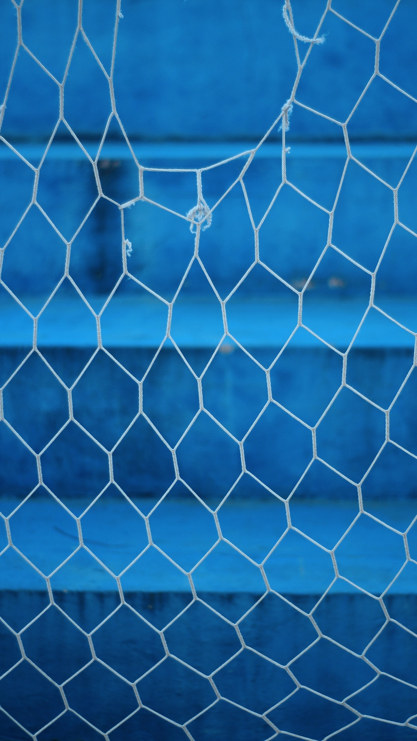1440x2560  Wallpaper mesh, rope, torn, blue, blur