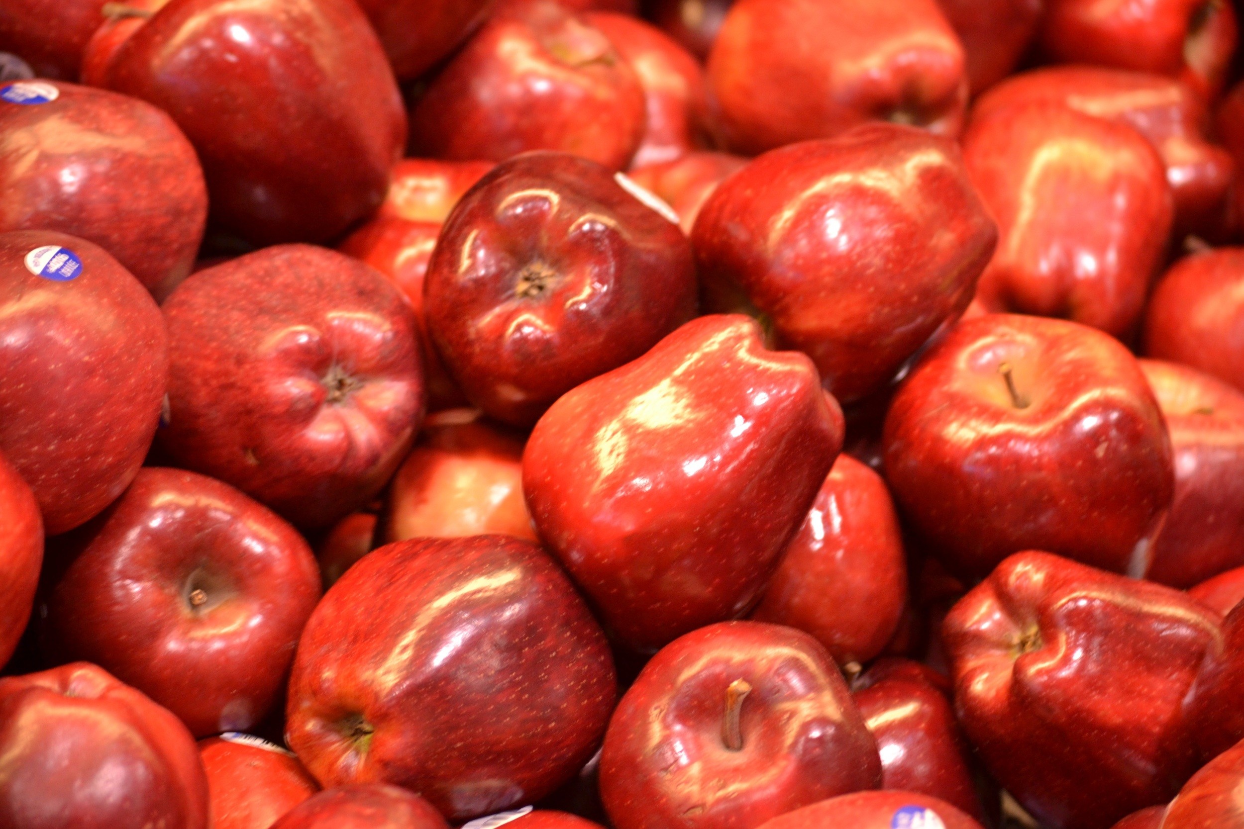 2500x1667 red apples | Cook Learn Grow