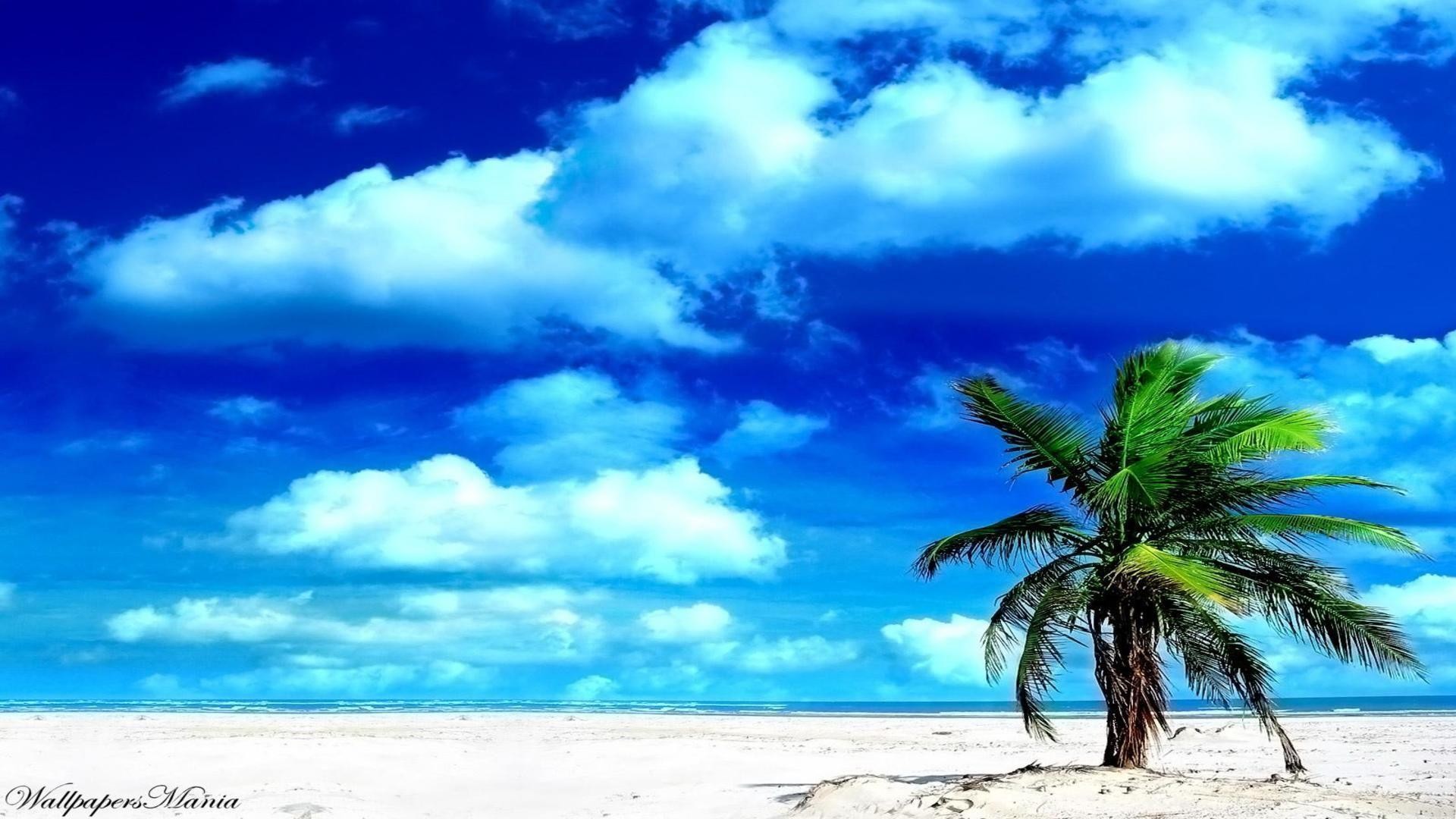 1920x1080 Tropical Island With Fish Desktop Background HD Wallpaper .