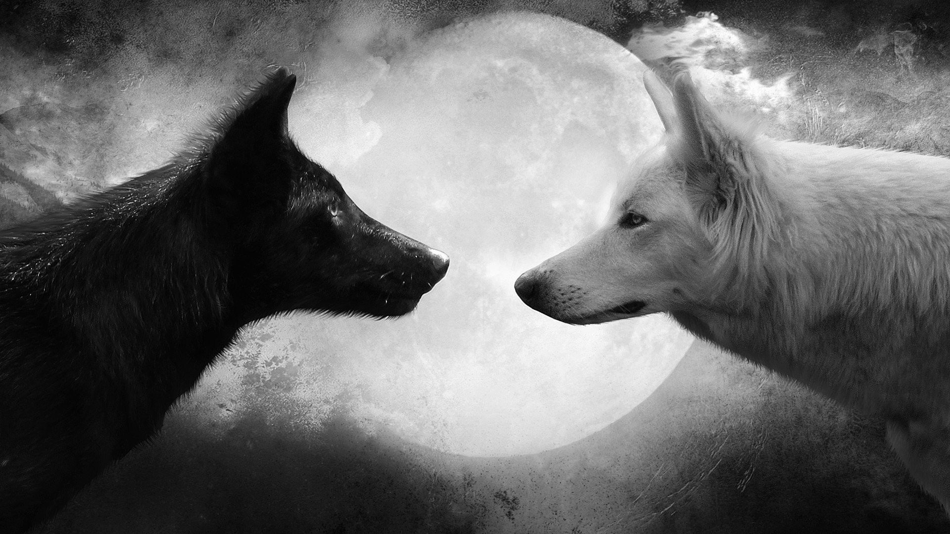 1920x1080 Animal - Wolf Black White Moon Wallpaper
