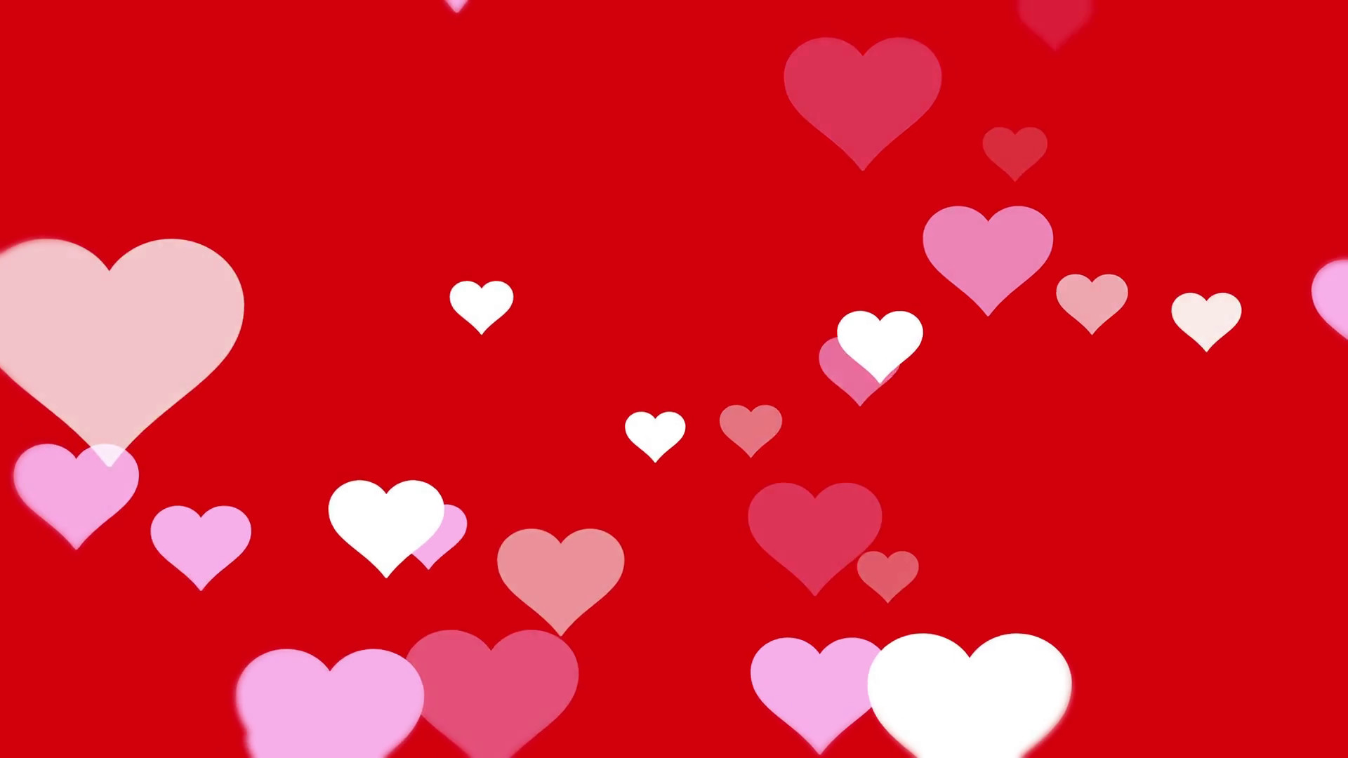 1920x1080 love Heart background valentines day Red White Motion Background -  Storyblocks Video