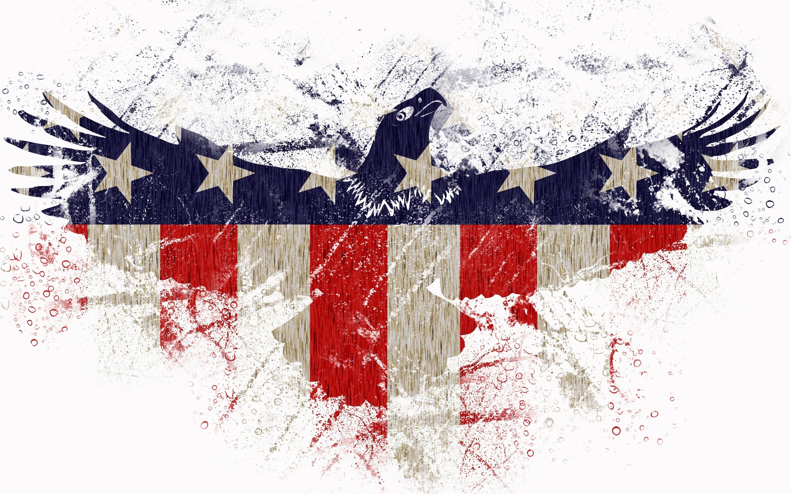 2560x1600 4th of july wallpaper free download
