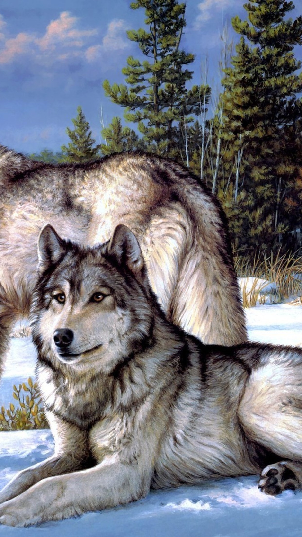 Волков про телефон. Волк. Красивый волк. Фотообои волк. Картина волки.