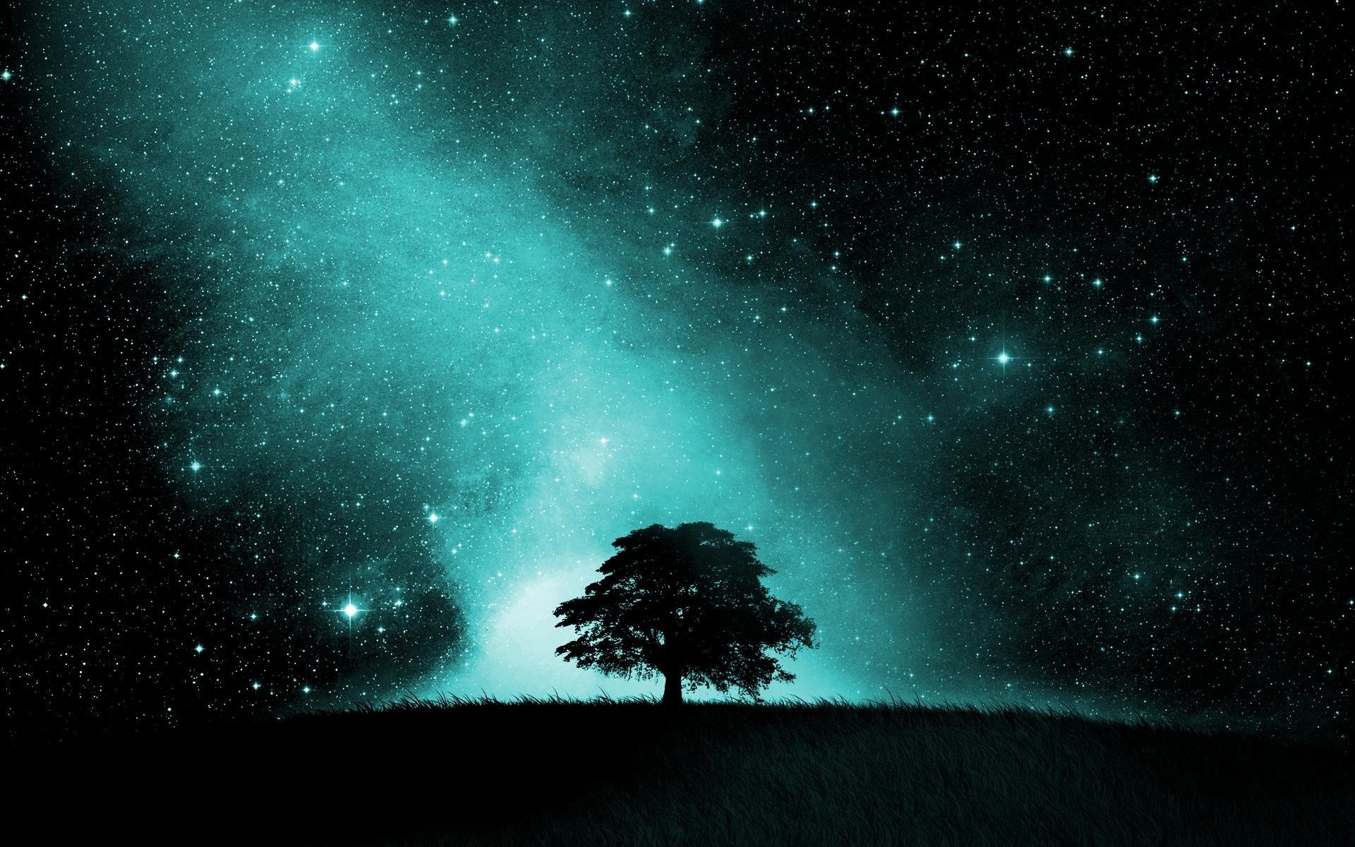 1920x1200 Artistic - Sky Artistic Tree Silhouette Night Starry Sky Stars Wallpaper