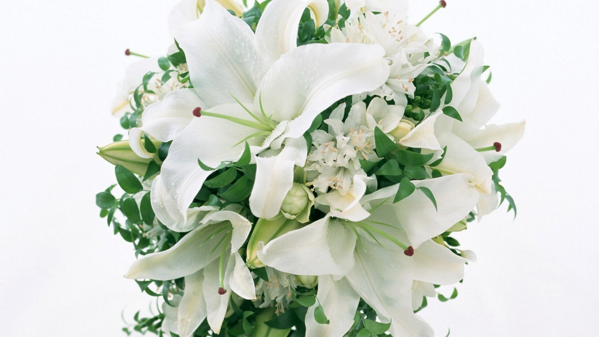 1920x1080  Wallpaper lilies, flowers, bouquet, white, green