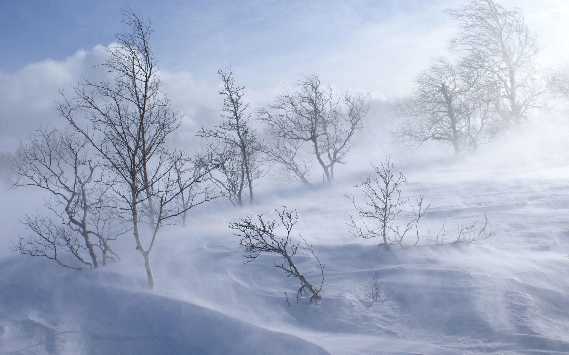 1920x1200 Snow Storm Wallpapers - Full HD wallpaper search