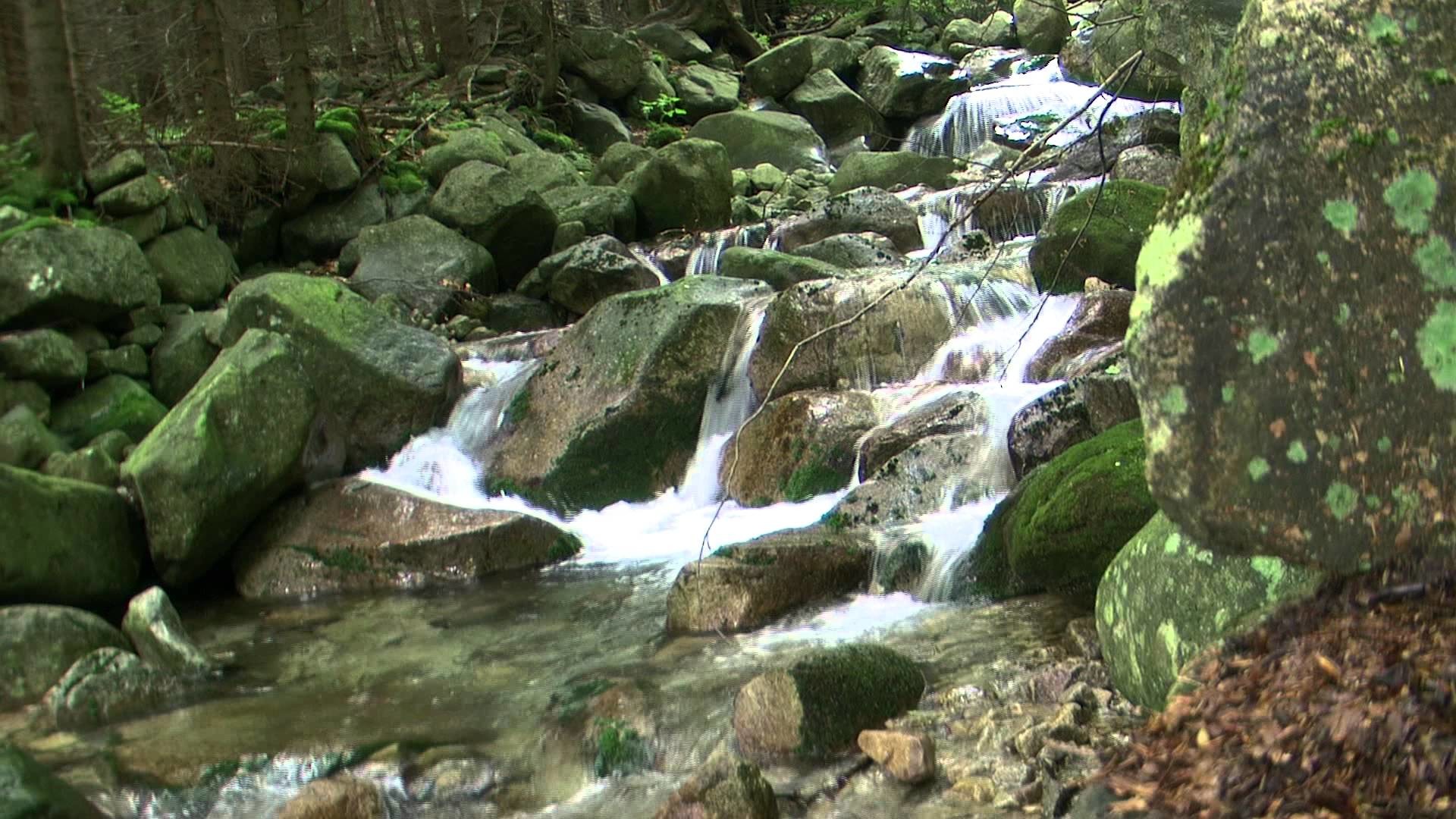 1920x1080 HD video of flowing water. Live wallpaper. Waterfall motion loop 1080 -  YouTube