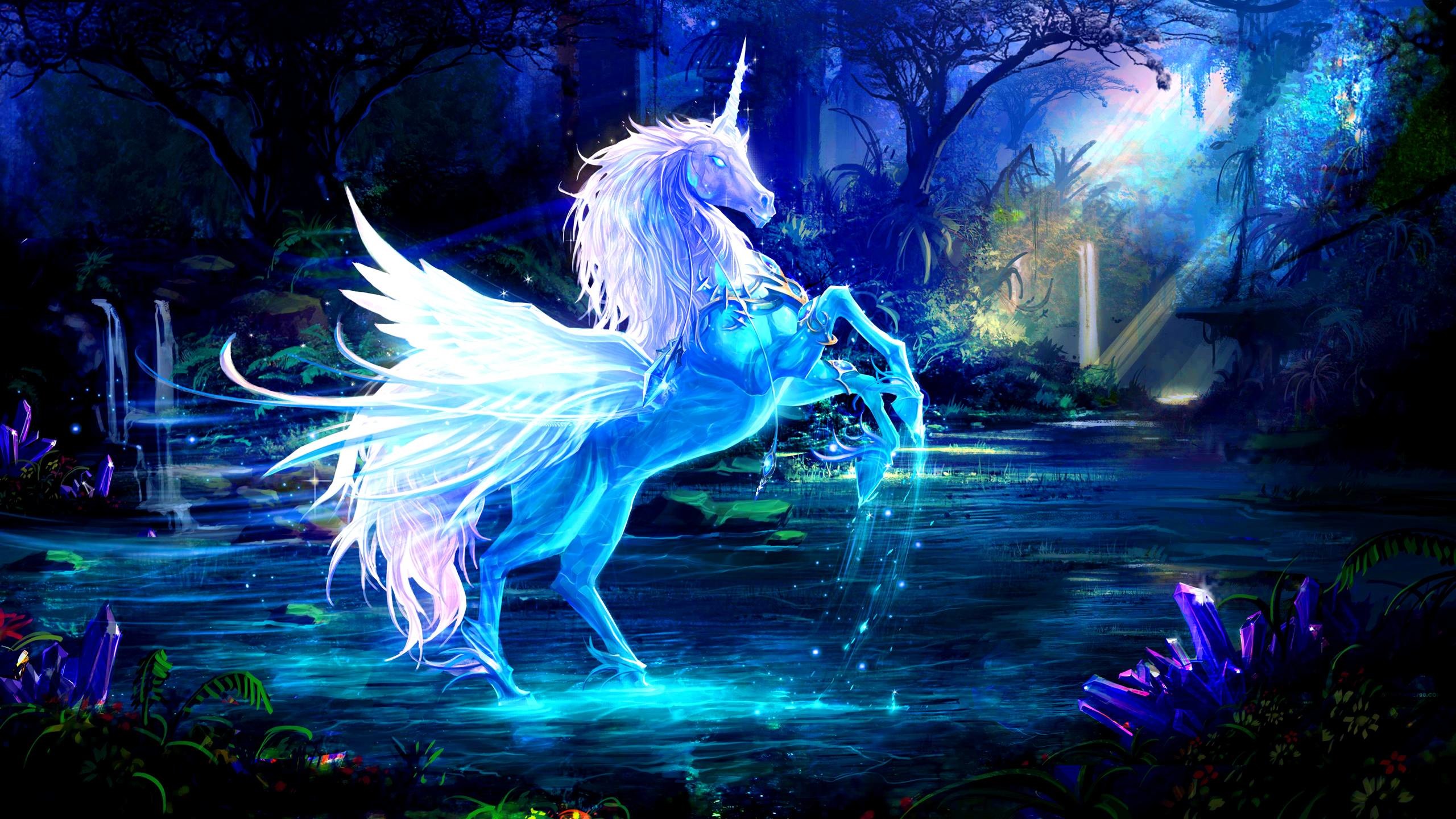 2560x1440 Real Unicorn Wallpaper Images & Pictures - Becuo