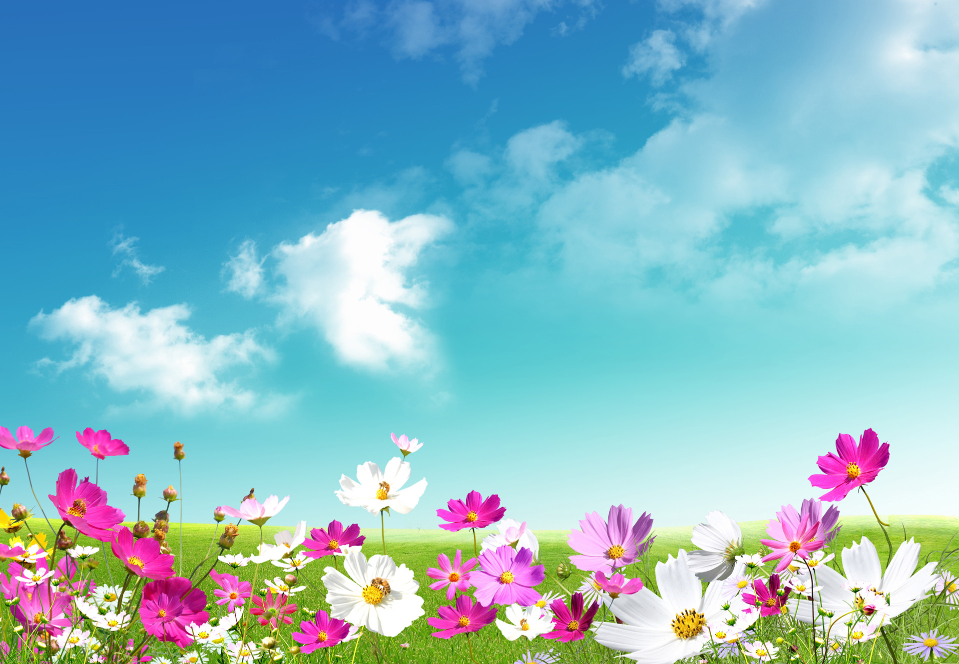 1920x1329 Spring Scenery Of Nature Wallpaper Spring Scenes Afkopowt