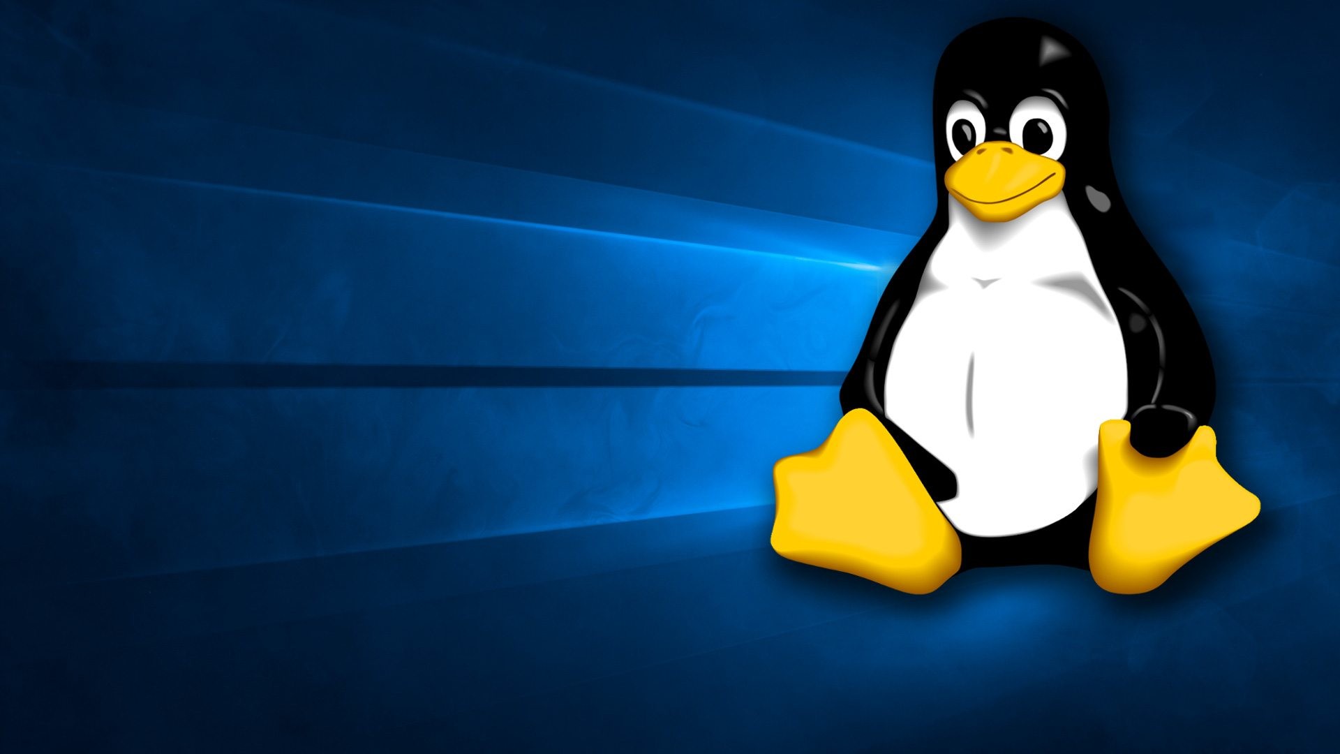 1920x1080 The Windows 10 wallpaper with Tux instead of the Windows logo HD Wallpaper  From Gallsource.