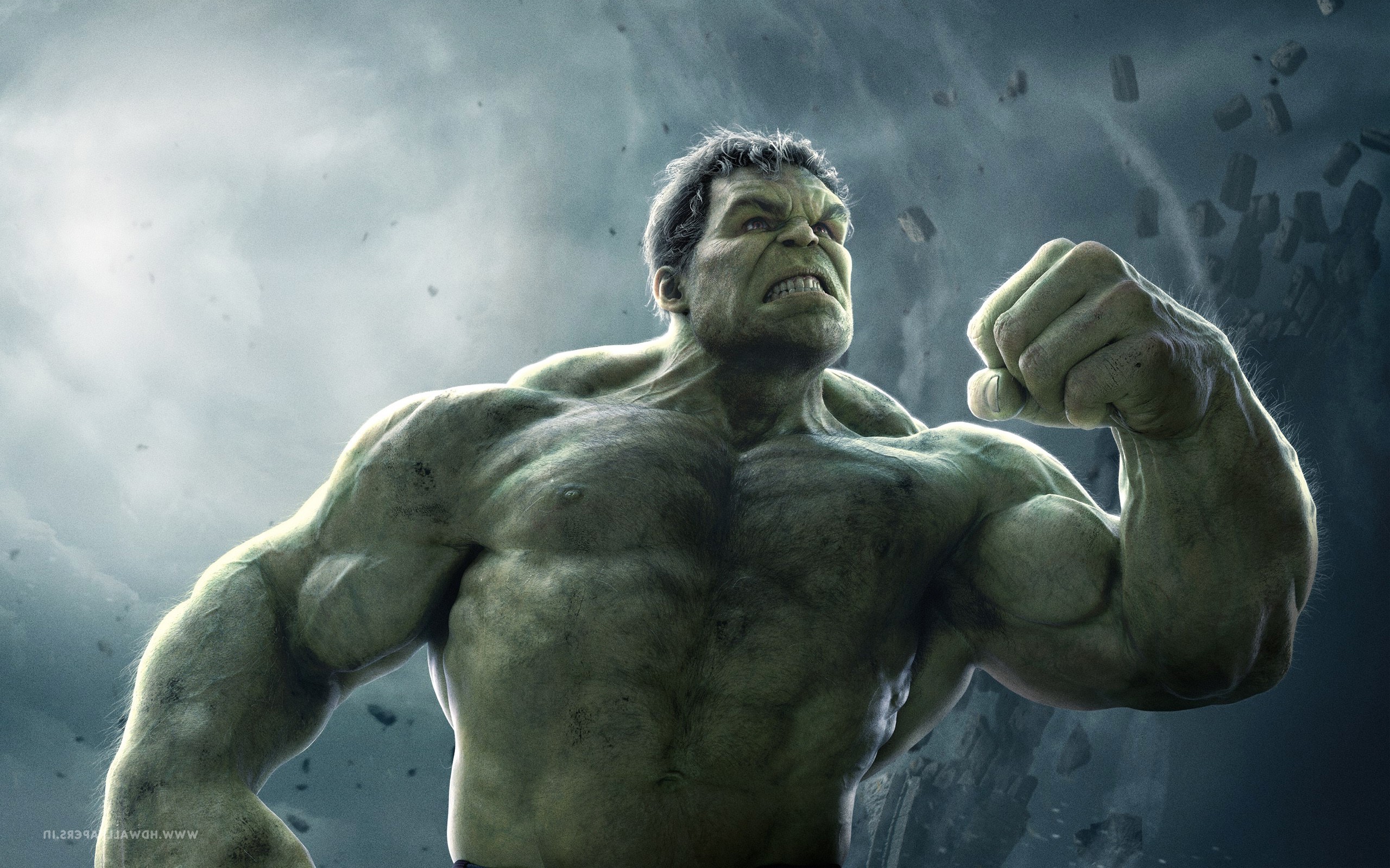 2560x1600 Hulk In Avengers Age Of Ultron 2560x1080 Resolution