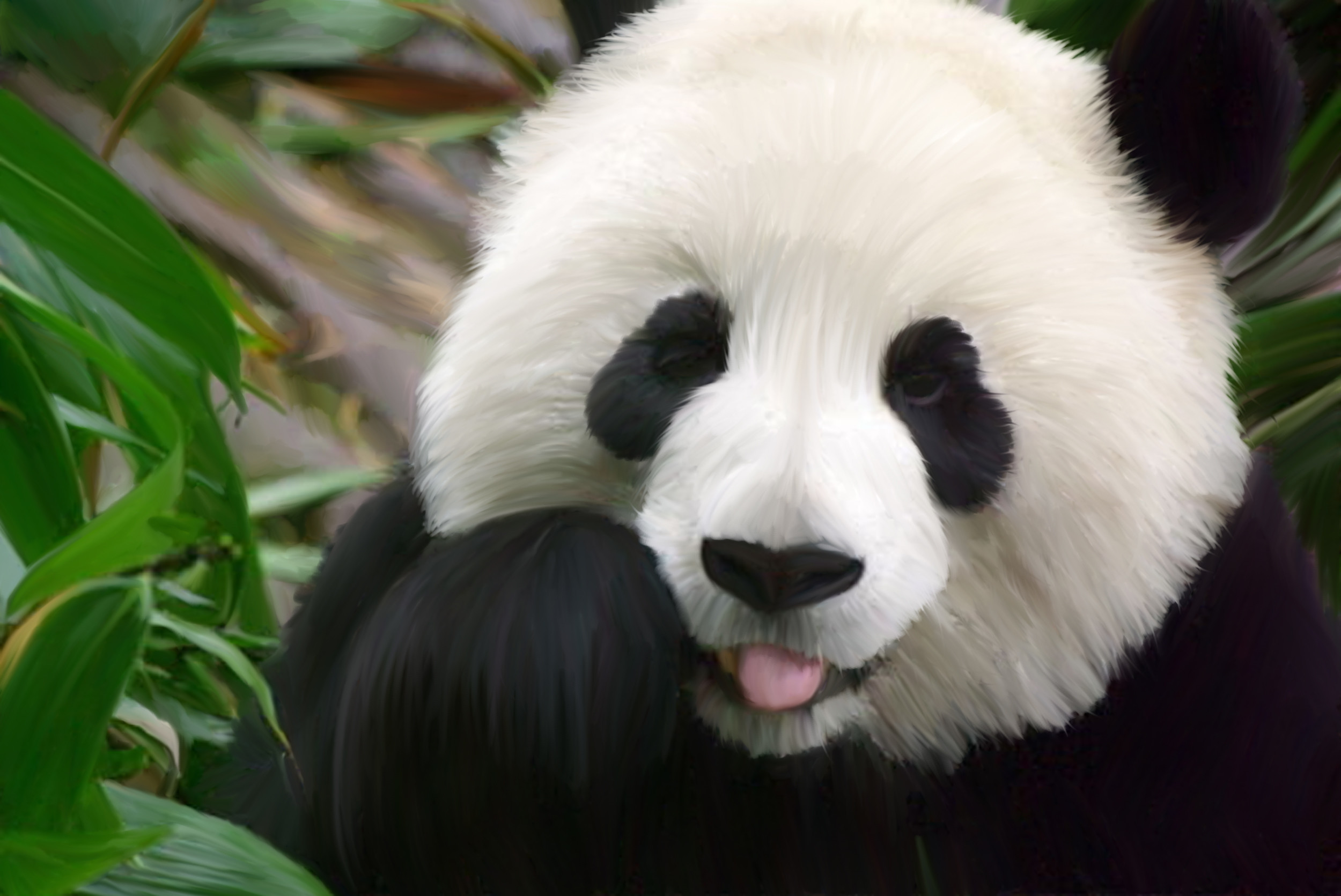 2500x1671 2560x1600 wallpaper.wiki-Cute-Panda-HD-Picture-Tumblr-PIC-