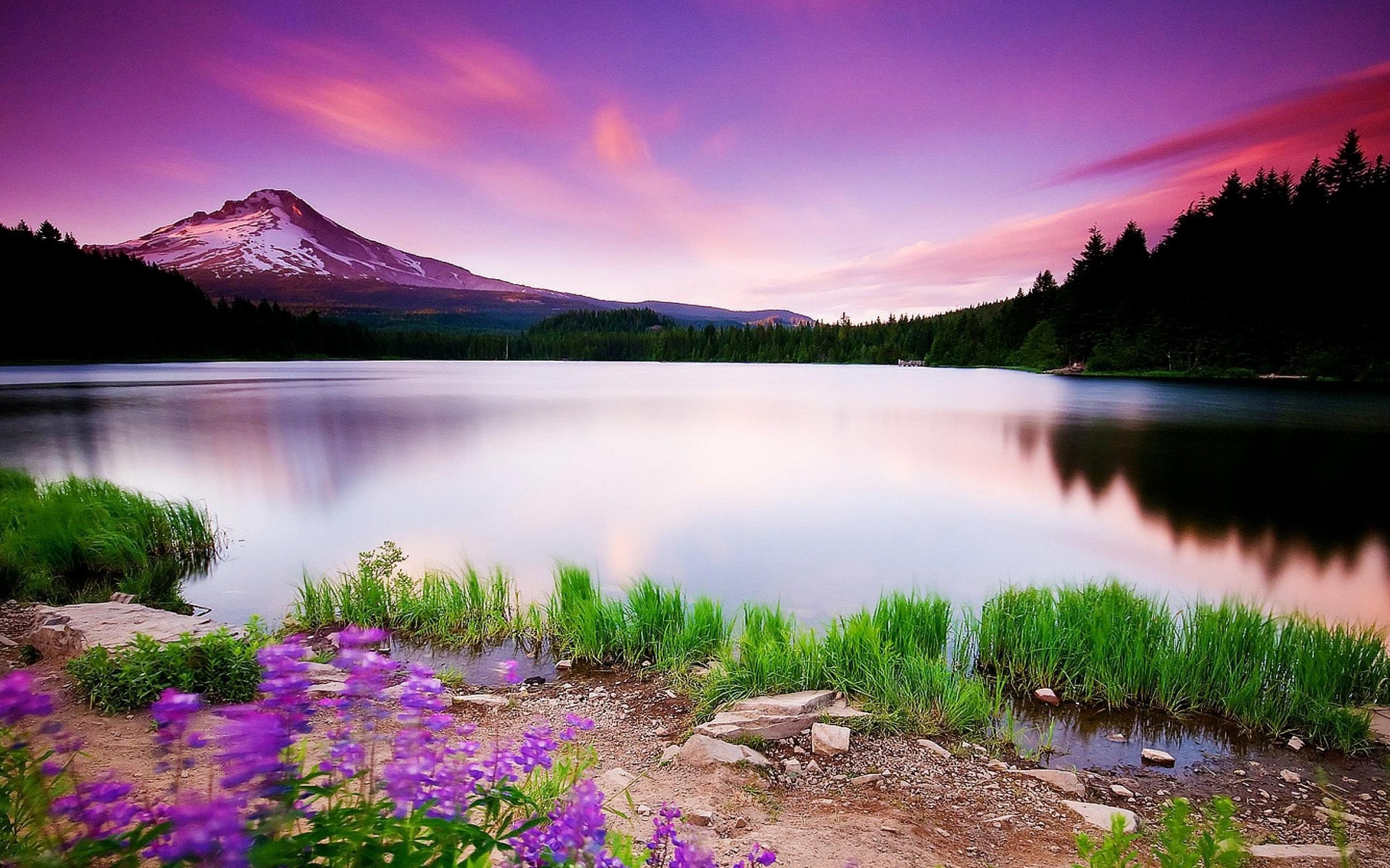 2560x1600 #Scenic Purple Coloured #Mountain #Lake #Landscape Desktop #Wallpaper # Background