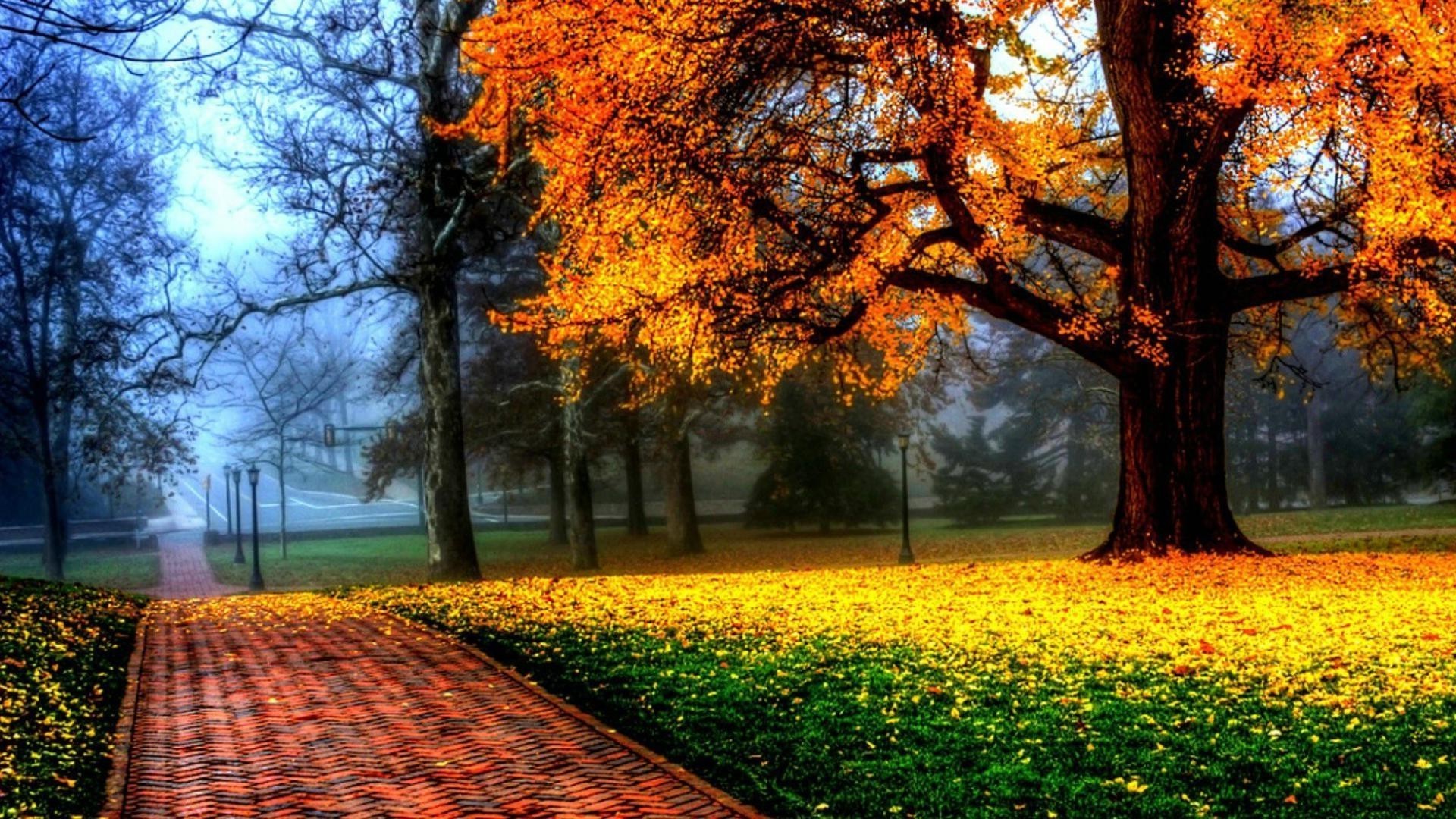 Fall Foliage Wallpaper For Desktop (81+ images)