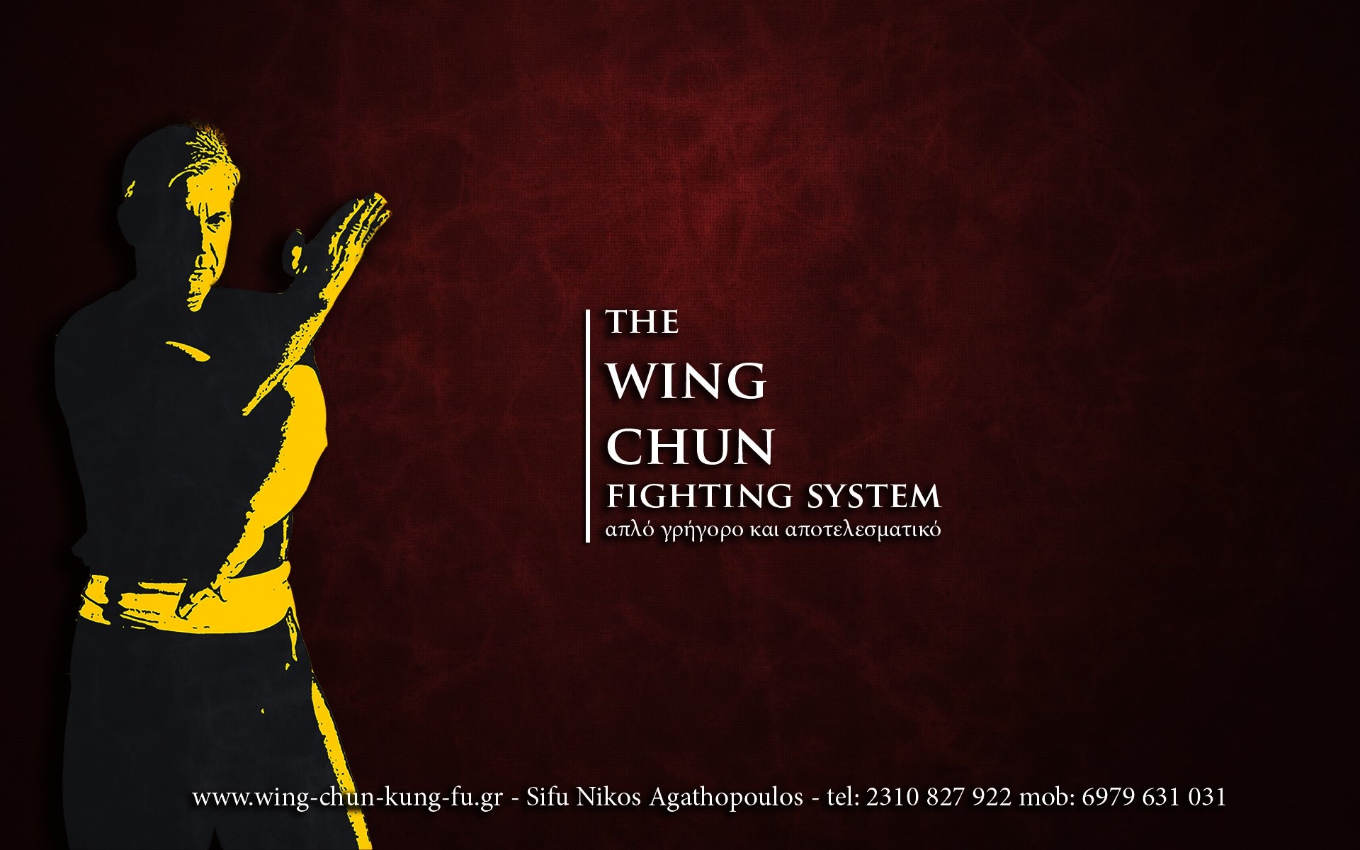 1920x1200 Wing Chun wallpaper