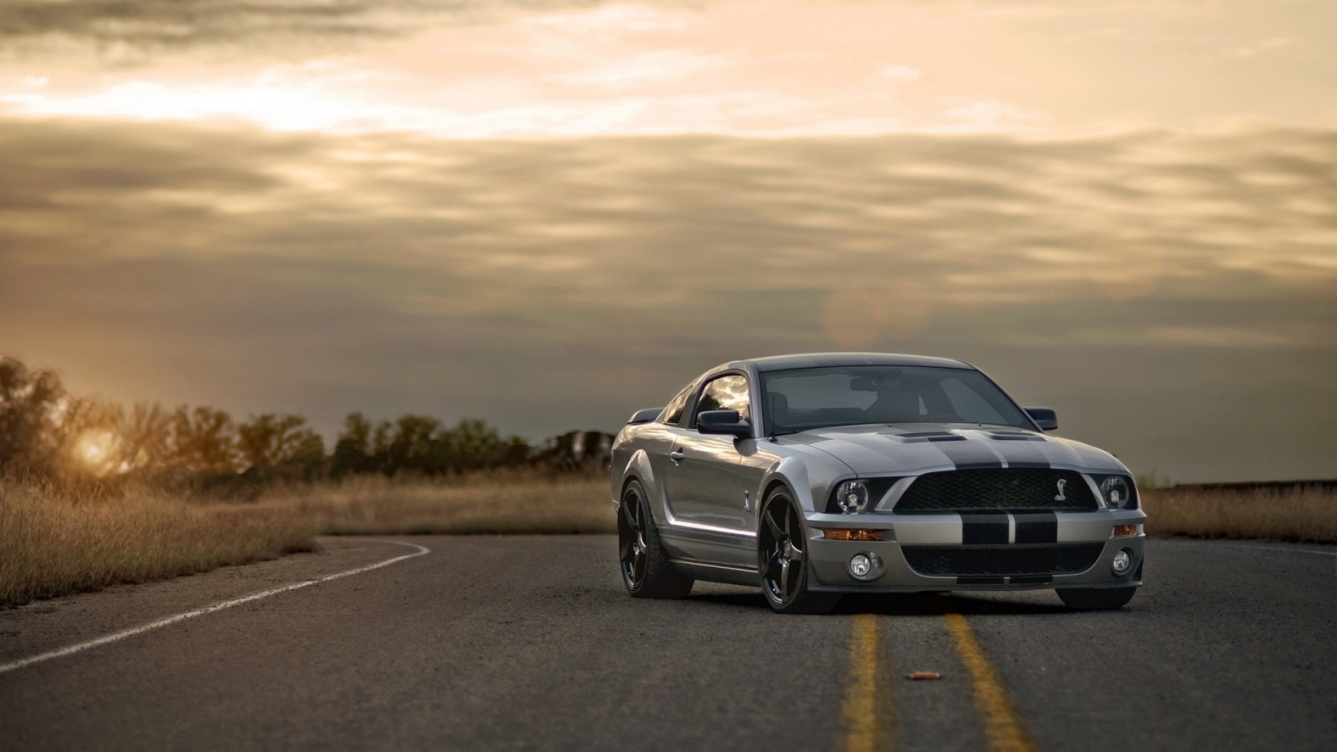 1920x1080  Wallpaper ford, mustang, shelby, silver, muscle car, road, sunset