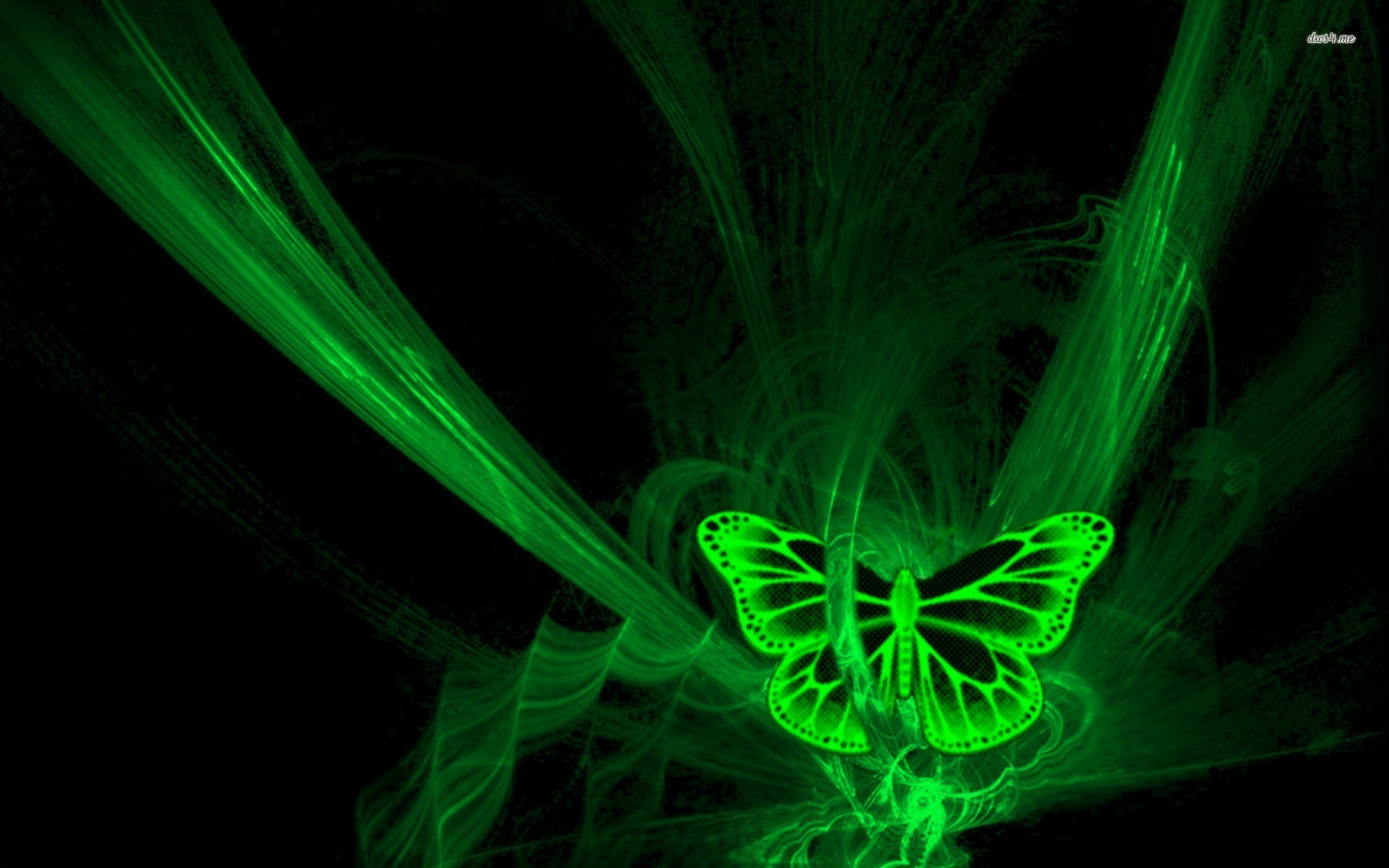 1920x1200 Name: 8621-fluorescent-green-butterfly--artistic-wallpaper.