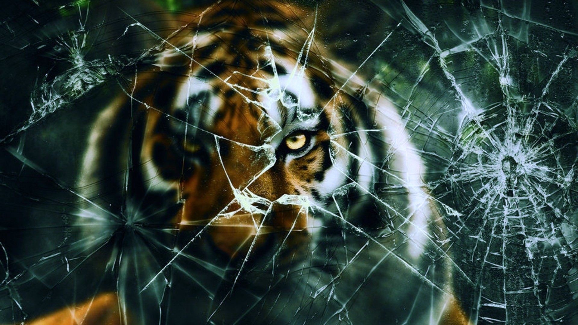 1920x1080 0 1920x1200 Screen Crack Wallpapers Group  Tiger Behind Cracked  Screen Wallpaper Wallpaper Zone