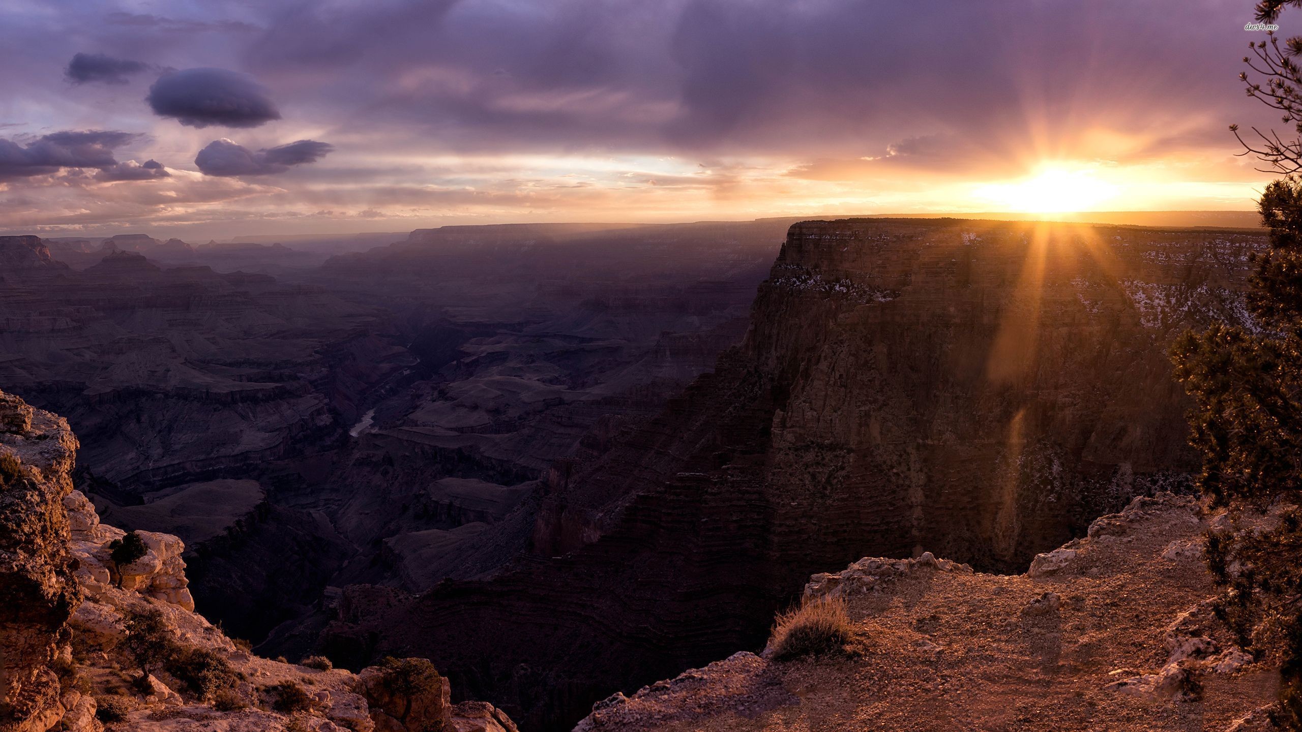 2560x1440 ... Sunrise in the Grand Canyon wallpaper  ...
