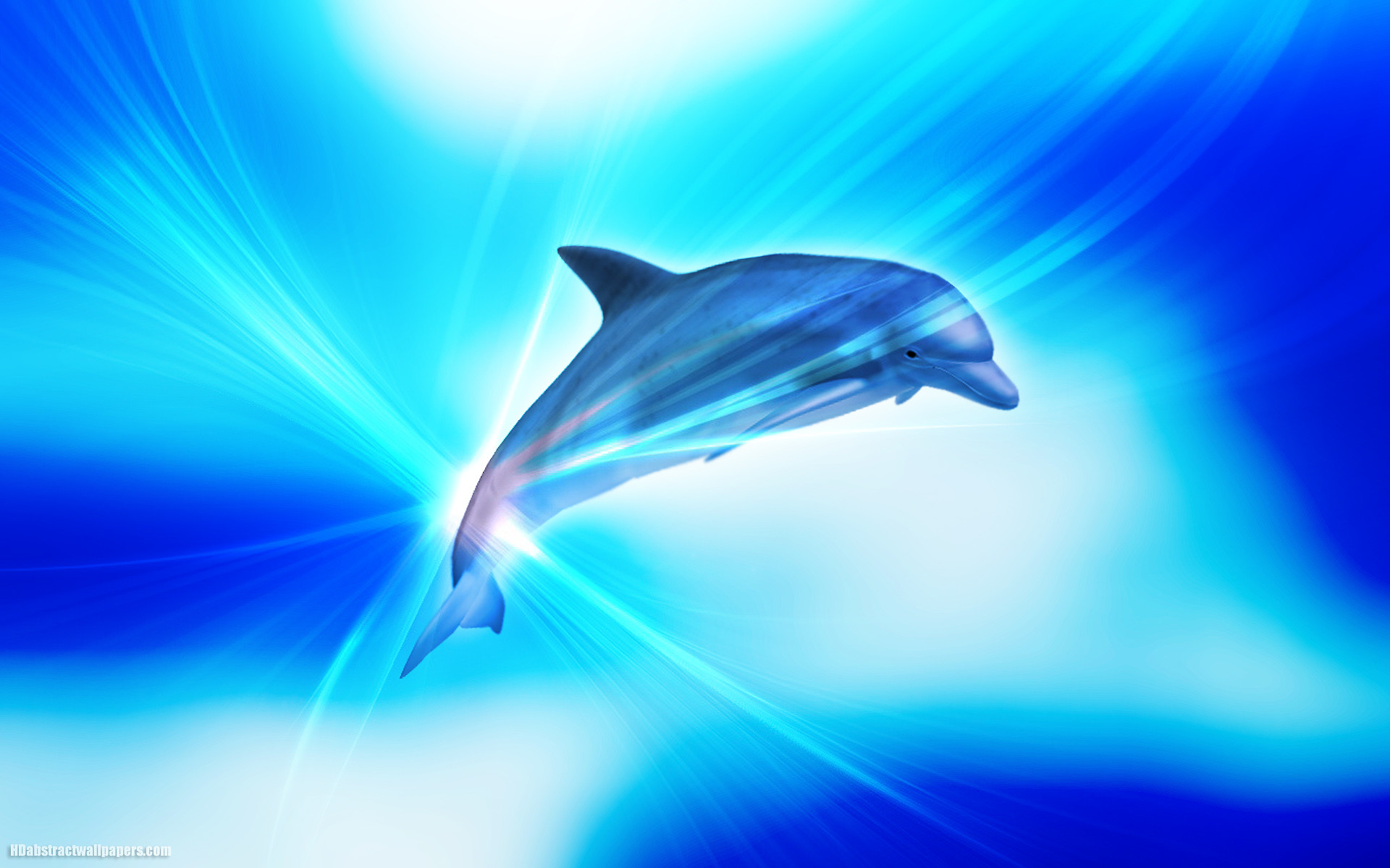 1920x1200 76 entries in Dolphin Wallpapers HD group ...
