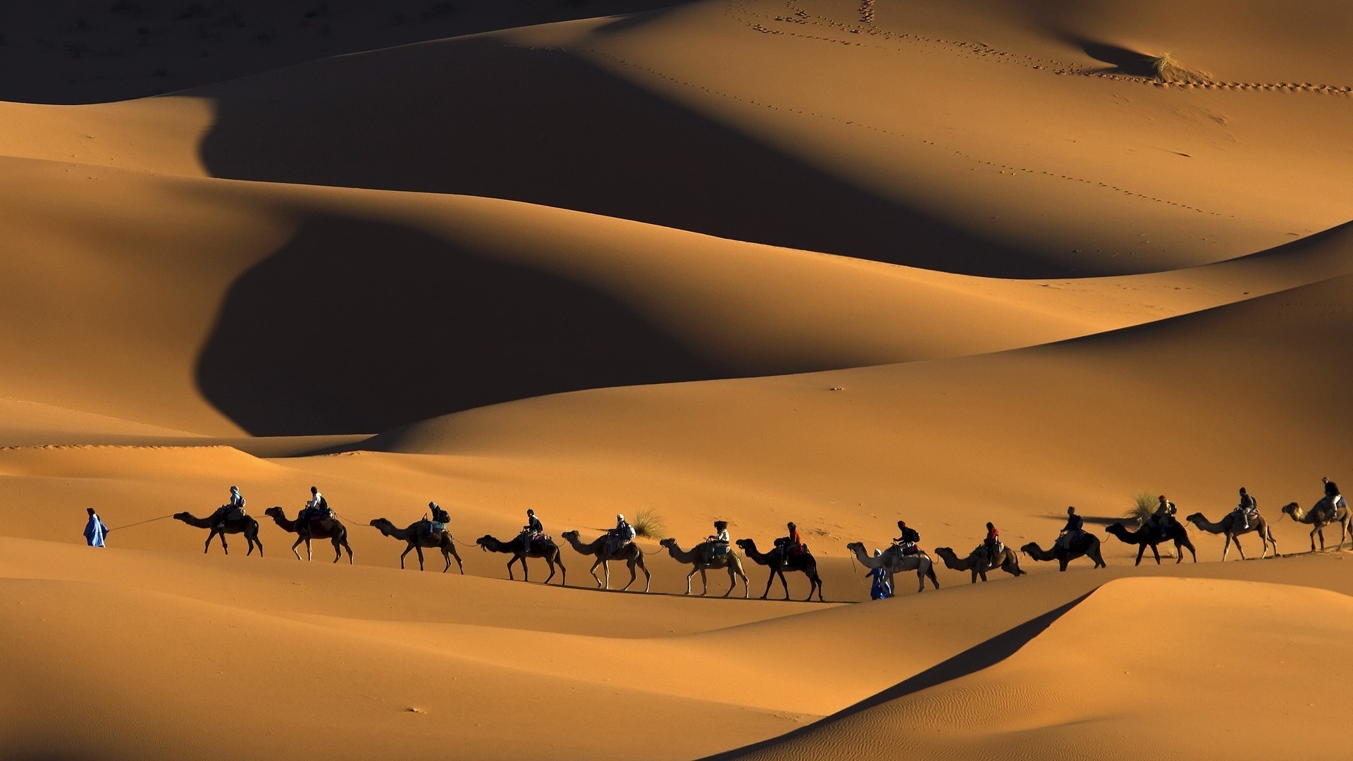 1920x1080 nature, Animals, Landscape, Camels, Morocco, Africa, Sand, Desert, Dune,  People, Shadow, Footprints, Touaregs Wallpapers HD / Desktop and Mobile  Backgrounds