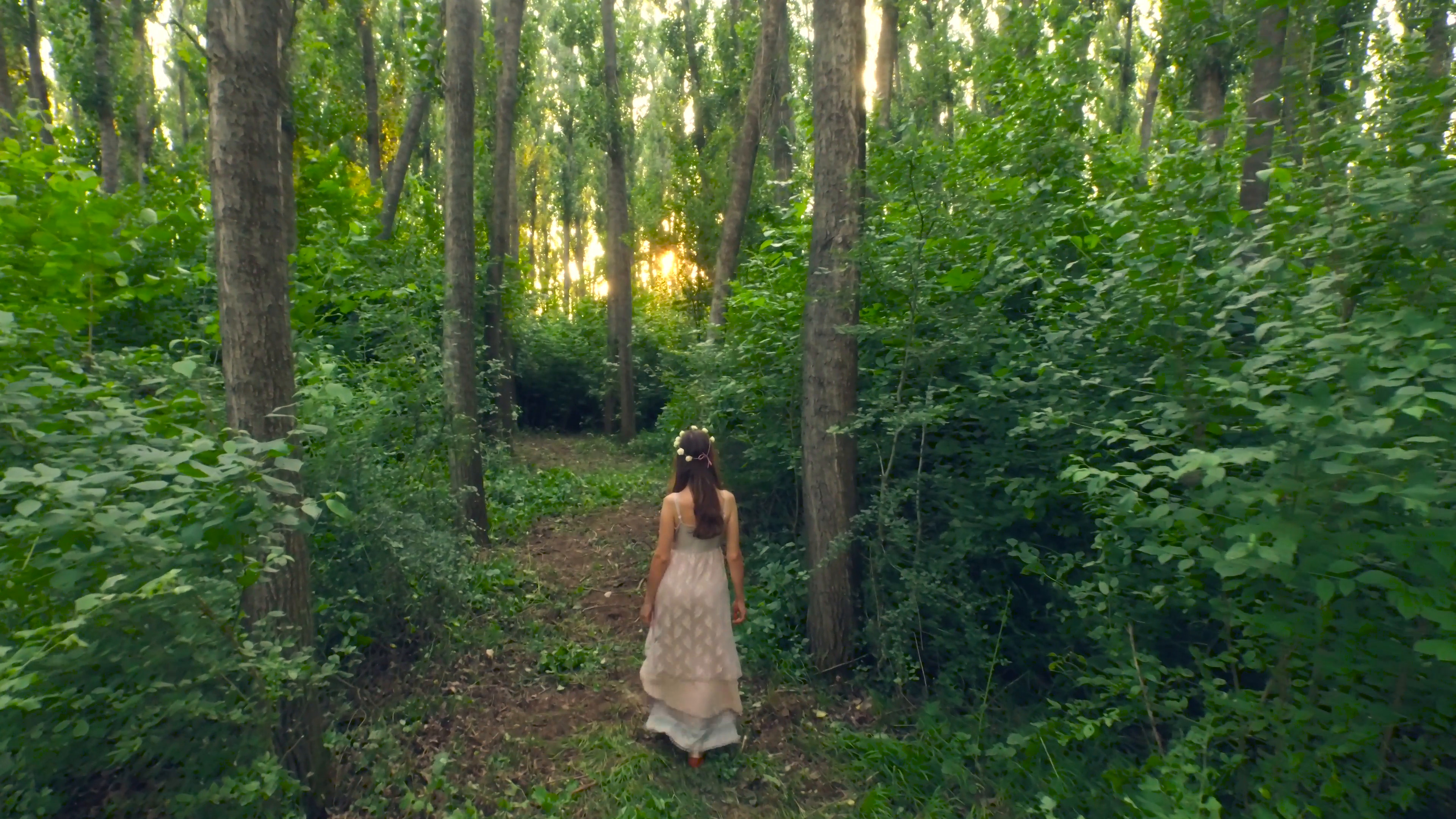 3840x2160 Beautiful Young Fairy Tale Princess Walking Down Enchanted Forest At Sunset  Stock Video Footage - VideoBlocks
