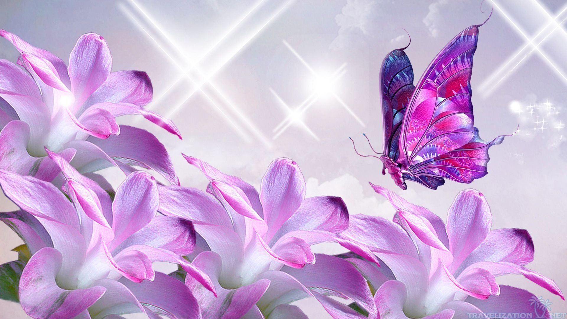 1920x1080 ... Pink Butterfly Wallpapers Group (5)